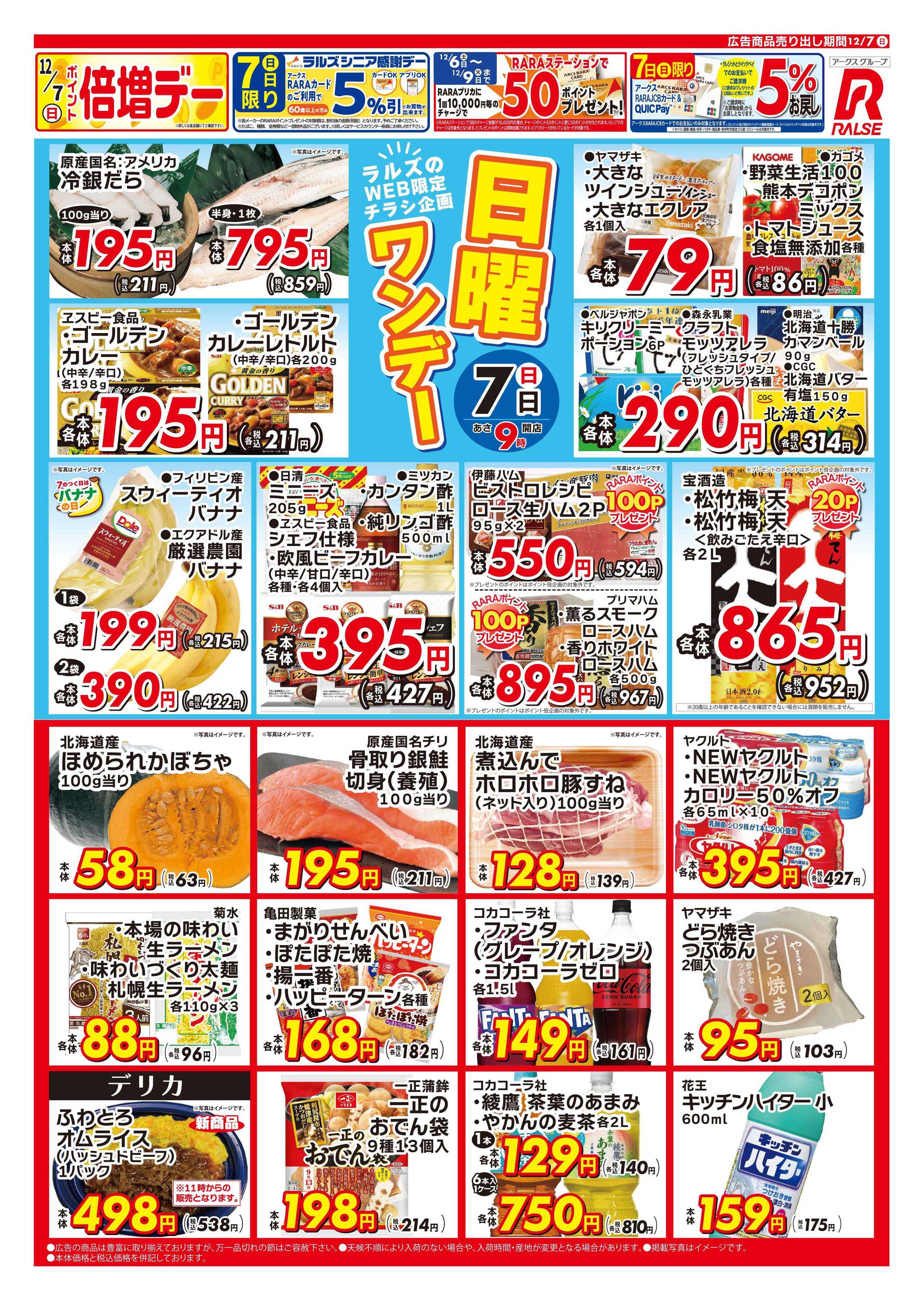 ホームストア 1207 Web日曜ワンデー