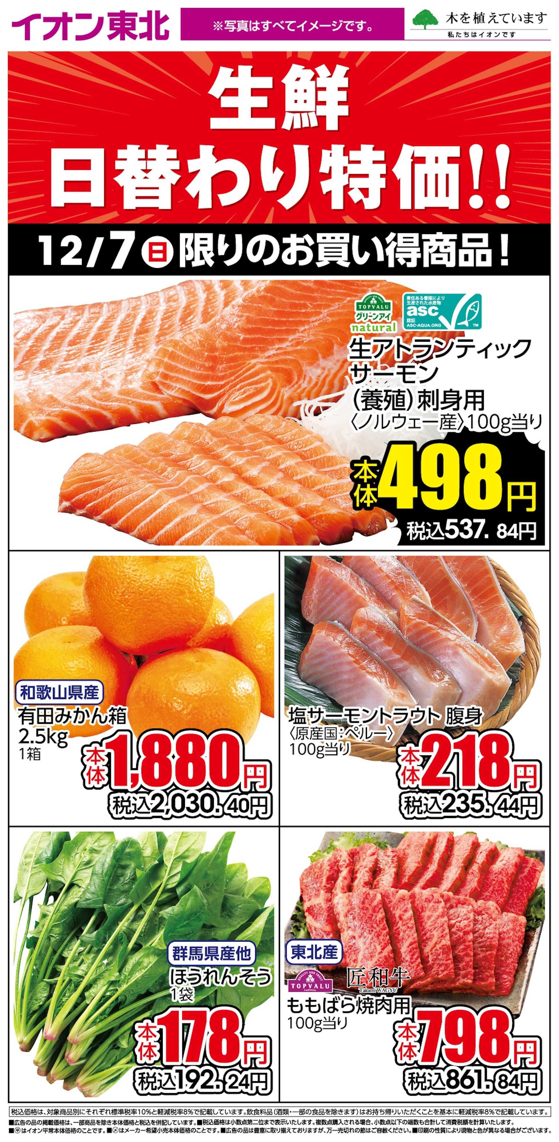 イオン 12月7日日替わり