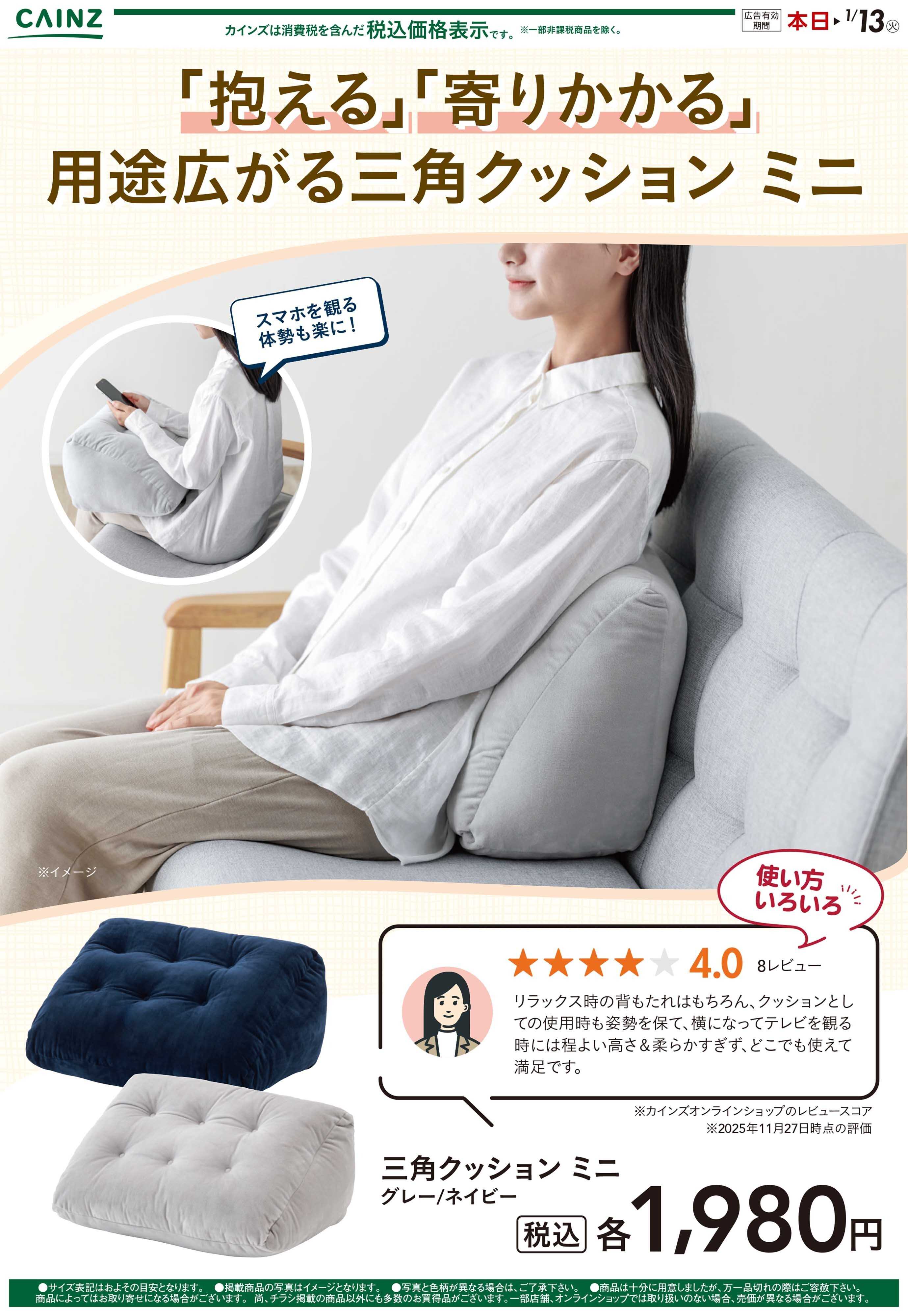 カインズ 三角クッション ミニ 12/5号