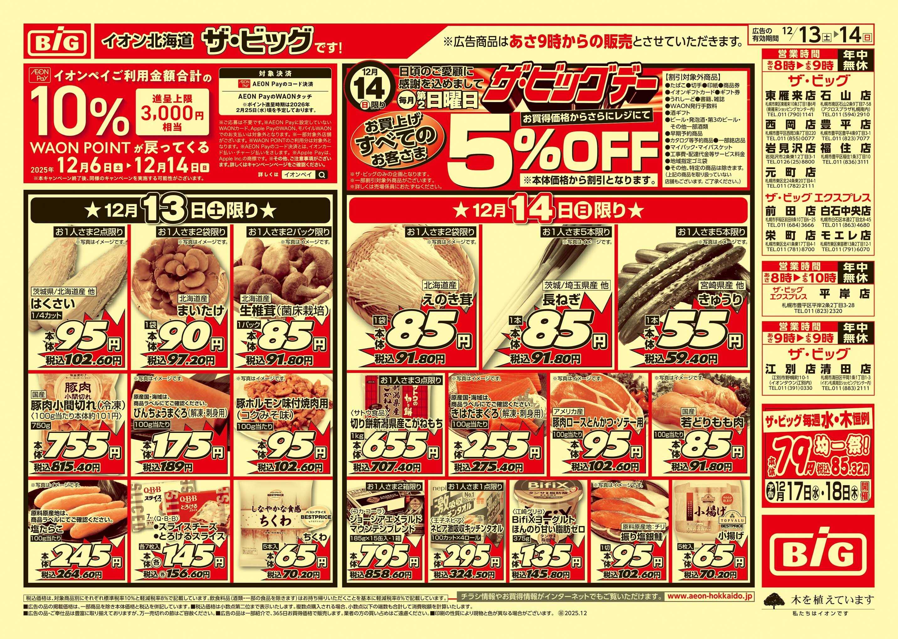 ザ・ビッグ ザ・ビッグデー/GG感謝デー