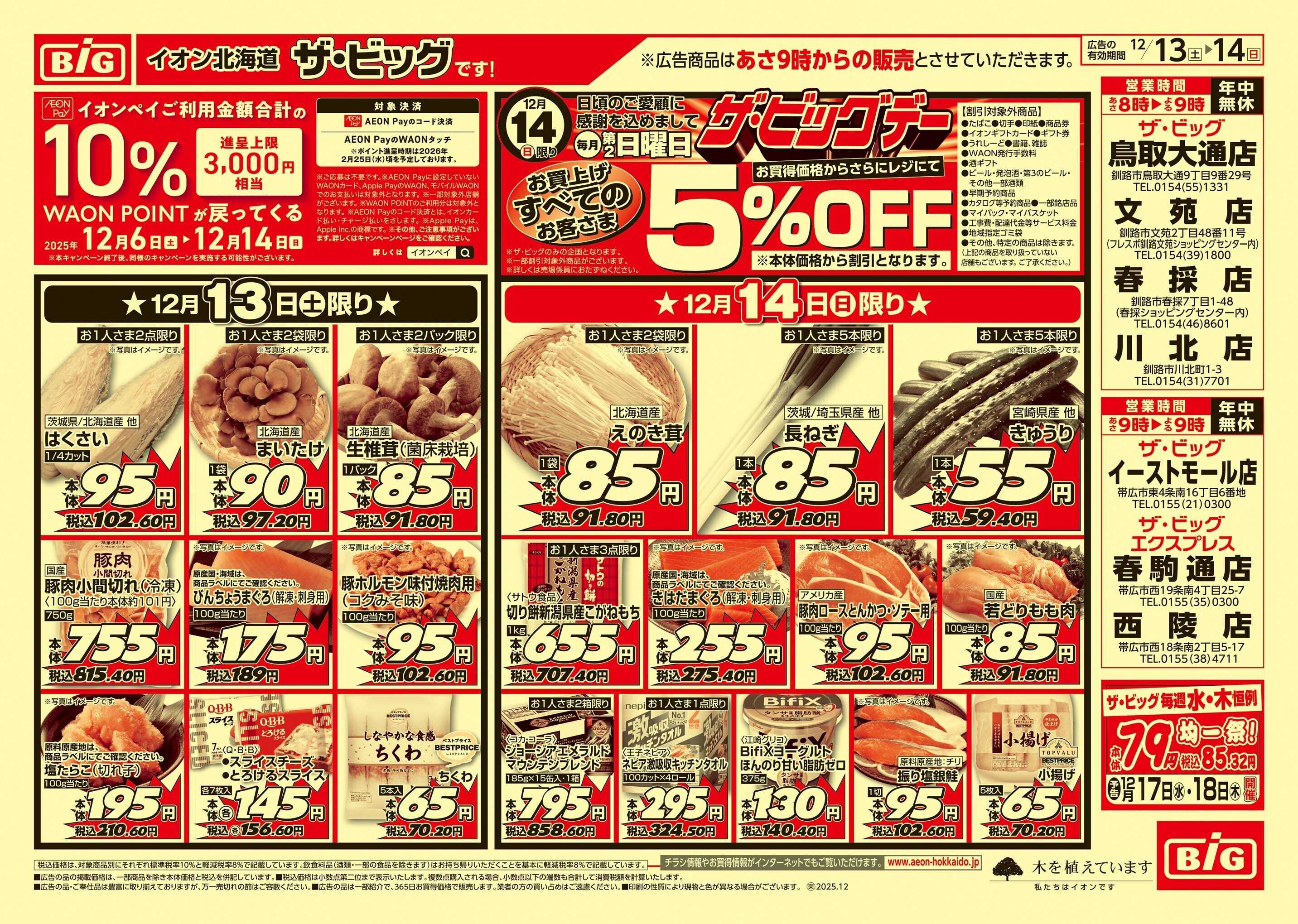 ザ・ビッグ ザ・ビッグデー/GG感謝デー