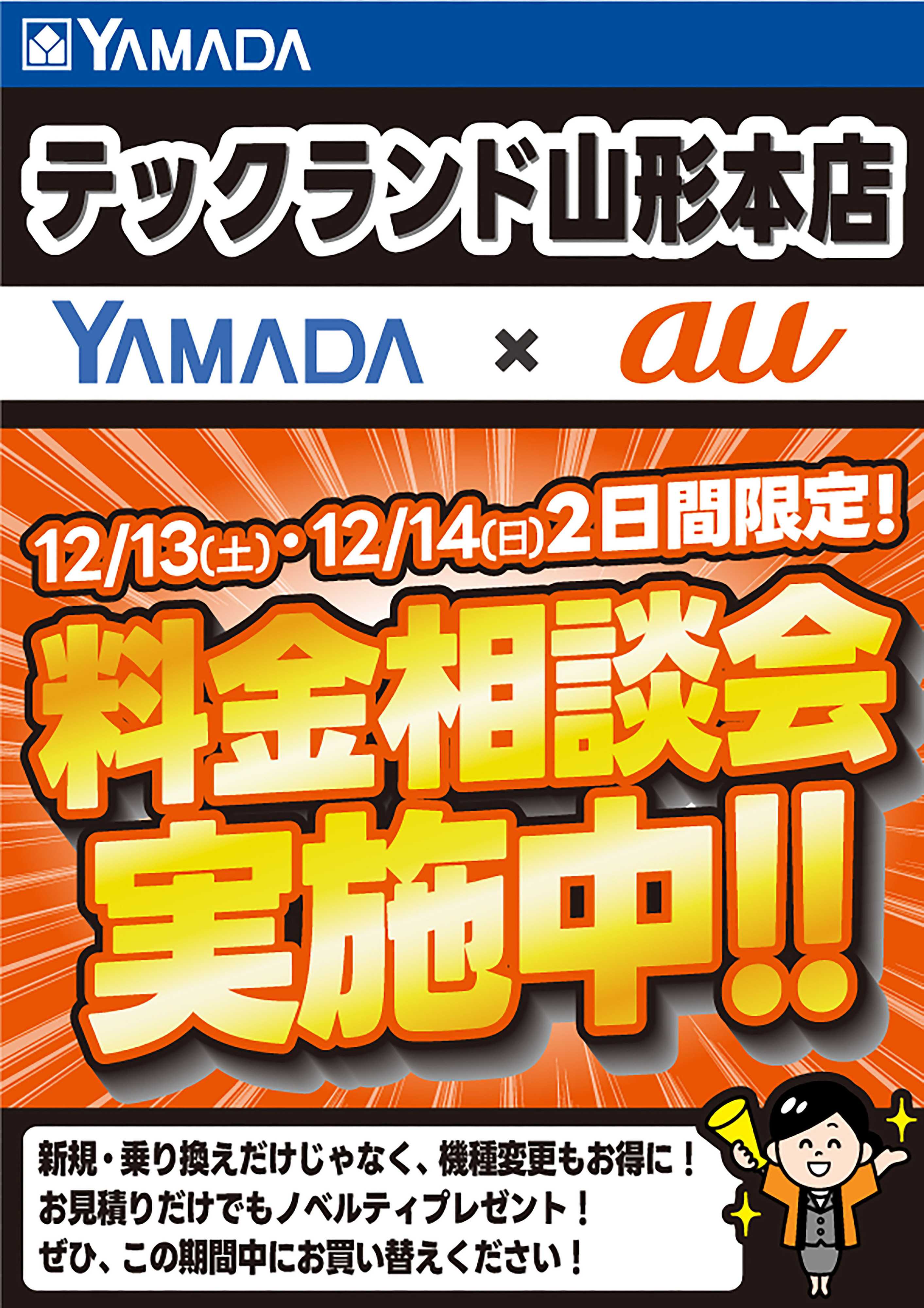 ヤマダデンキ 土日限定企画！