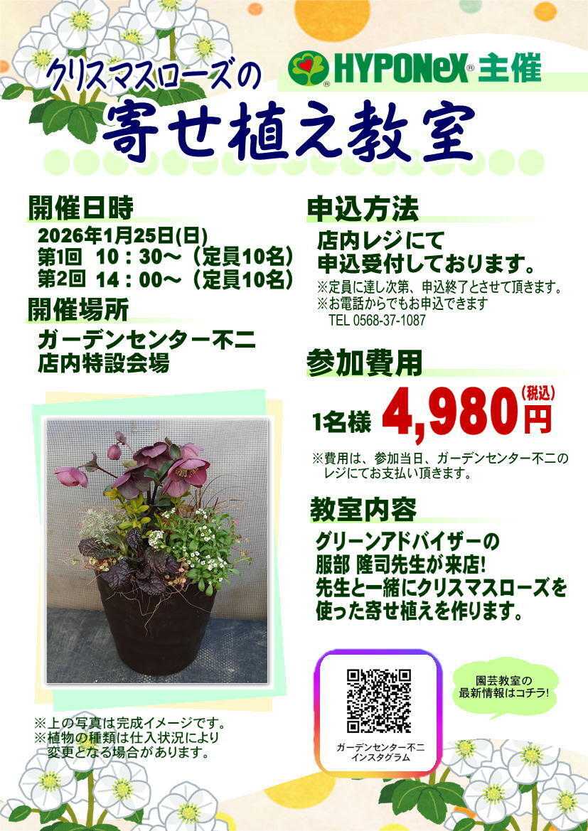 JA尾張中央 ガーデンセンター不二　1/25　クリスマスローズの寄せ植え教室開催！