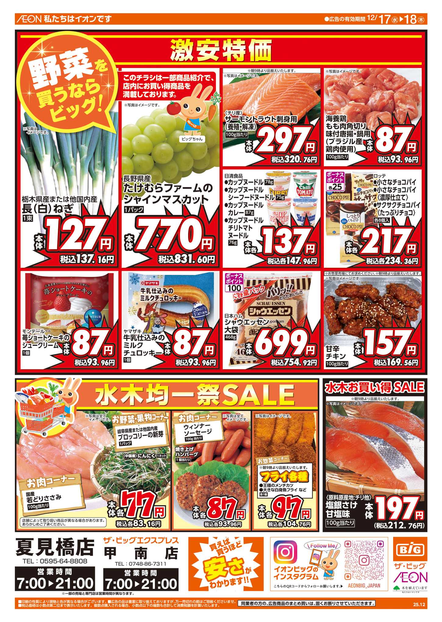 ザ・ビッグ 週中チラシ