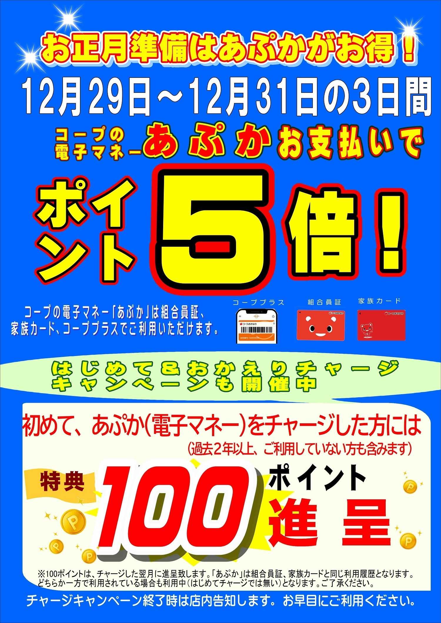 コープおきなわ 年末はあぷか支払いでポイント5倍！