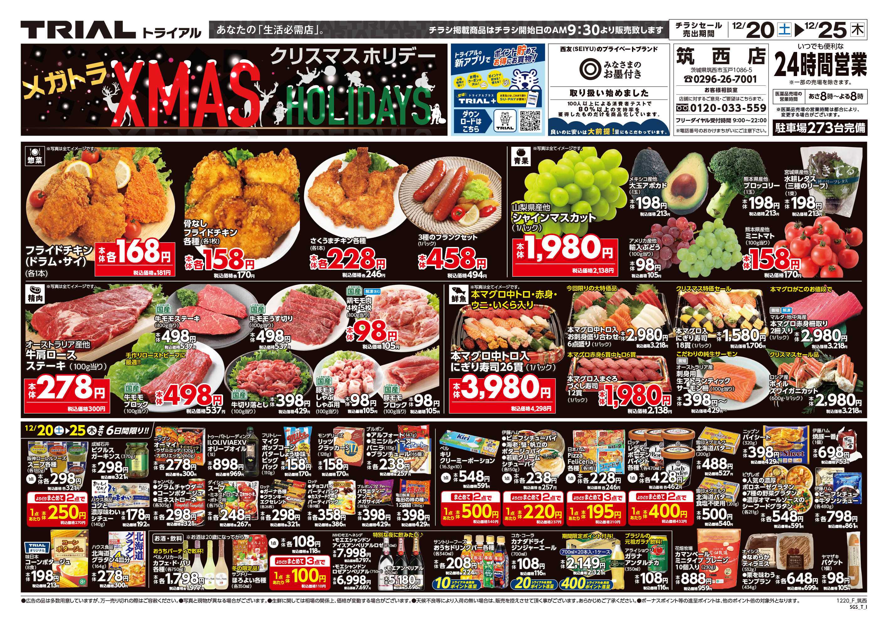 メガセンタートライアル 