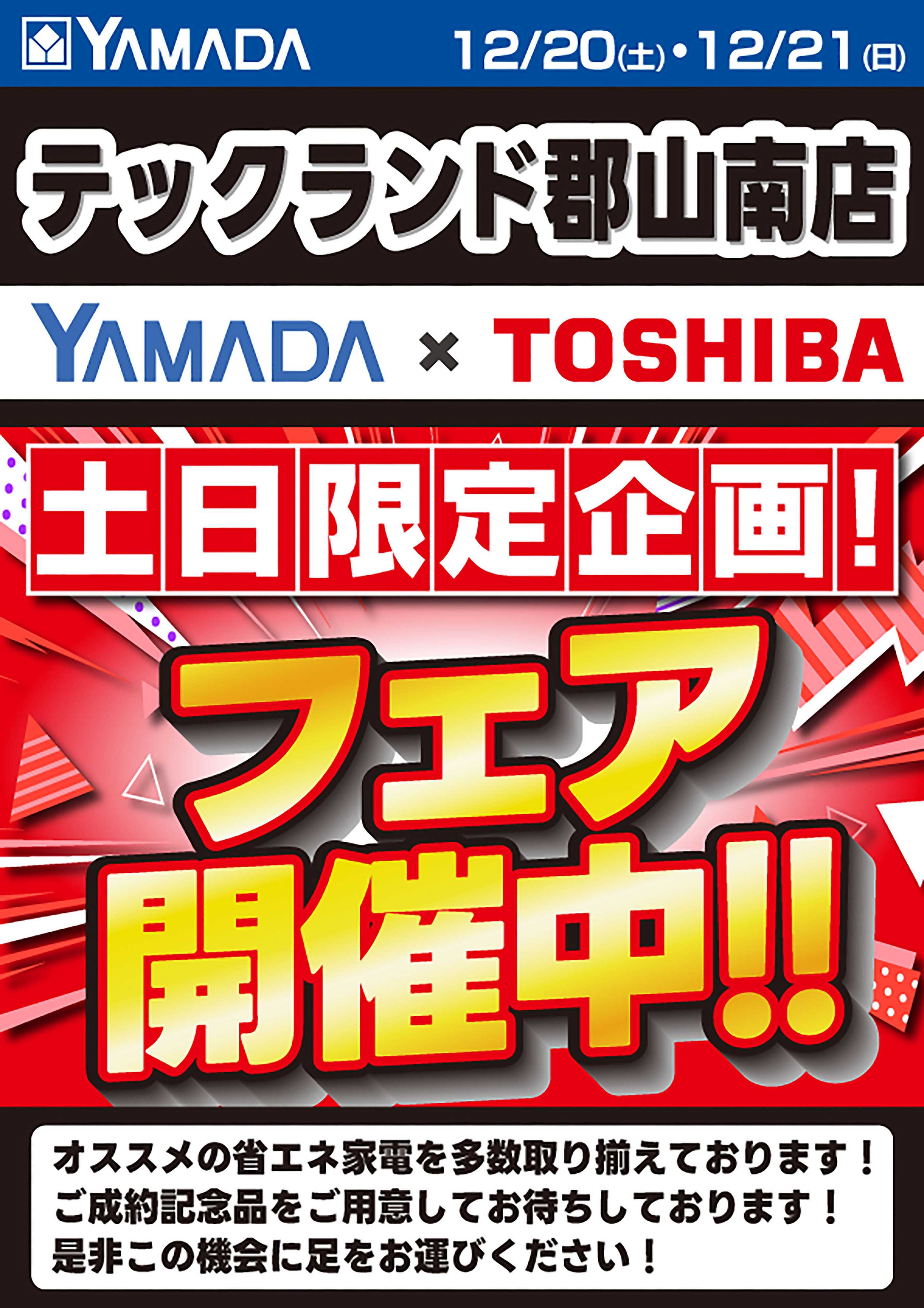 ヤマダデンキ 土日限定企画！