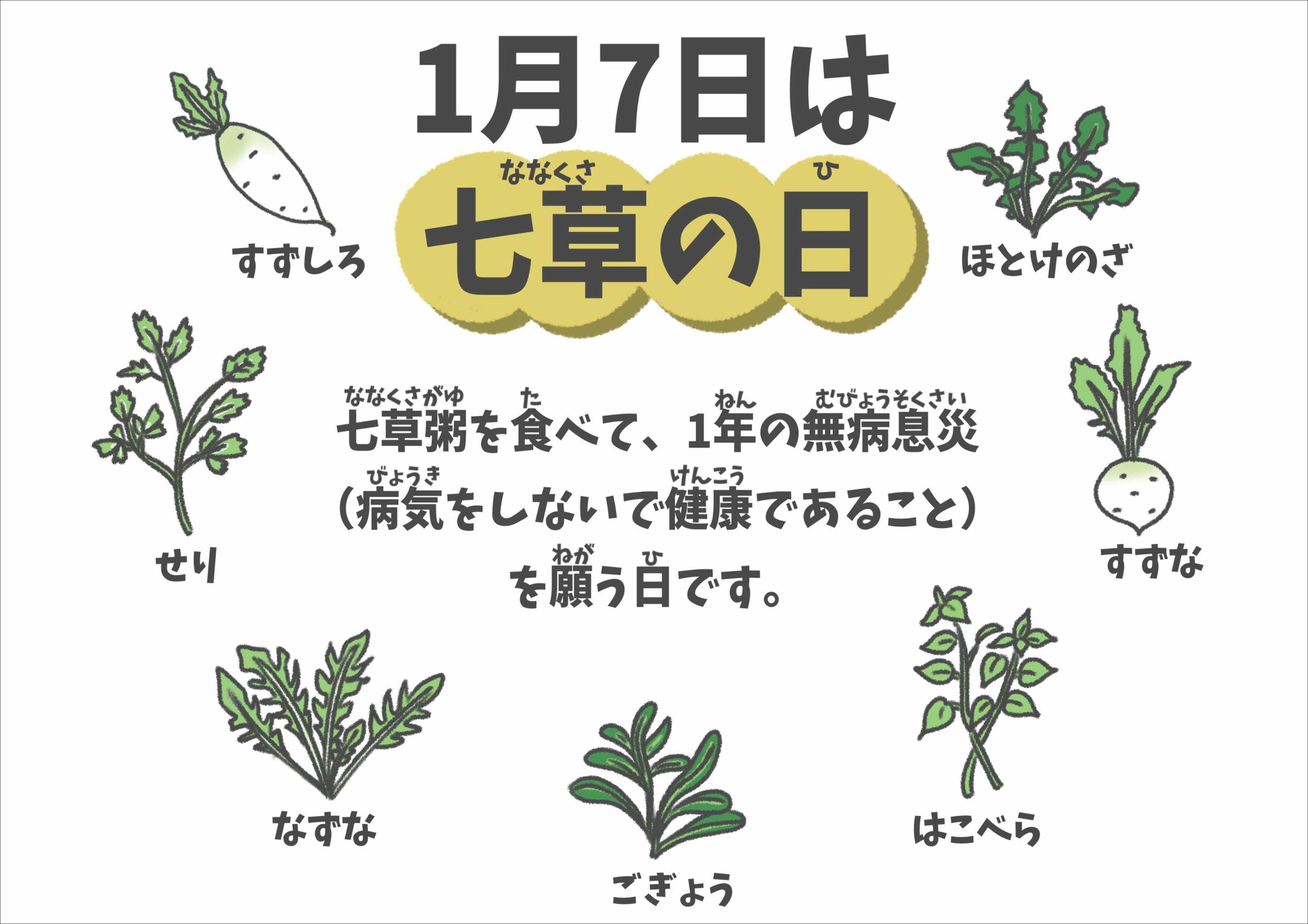 オオゼキ 1月7日は七草の日