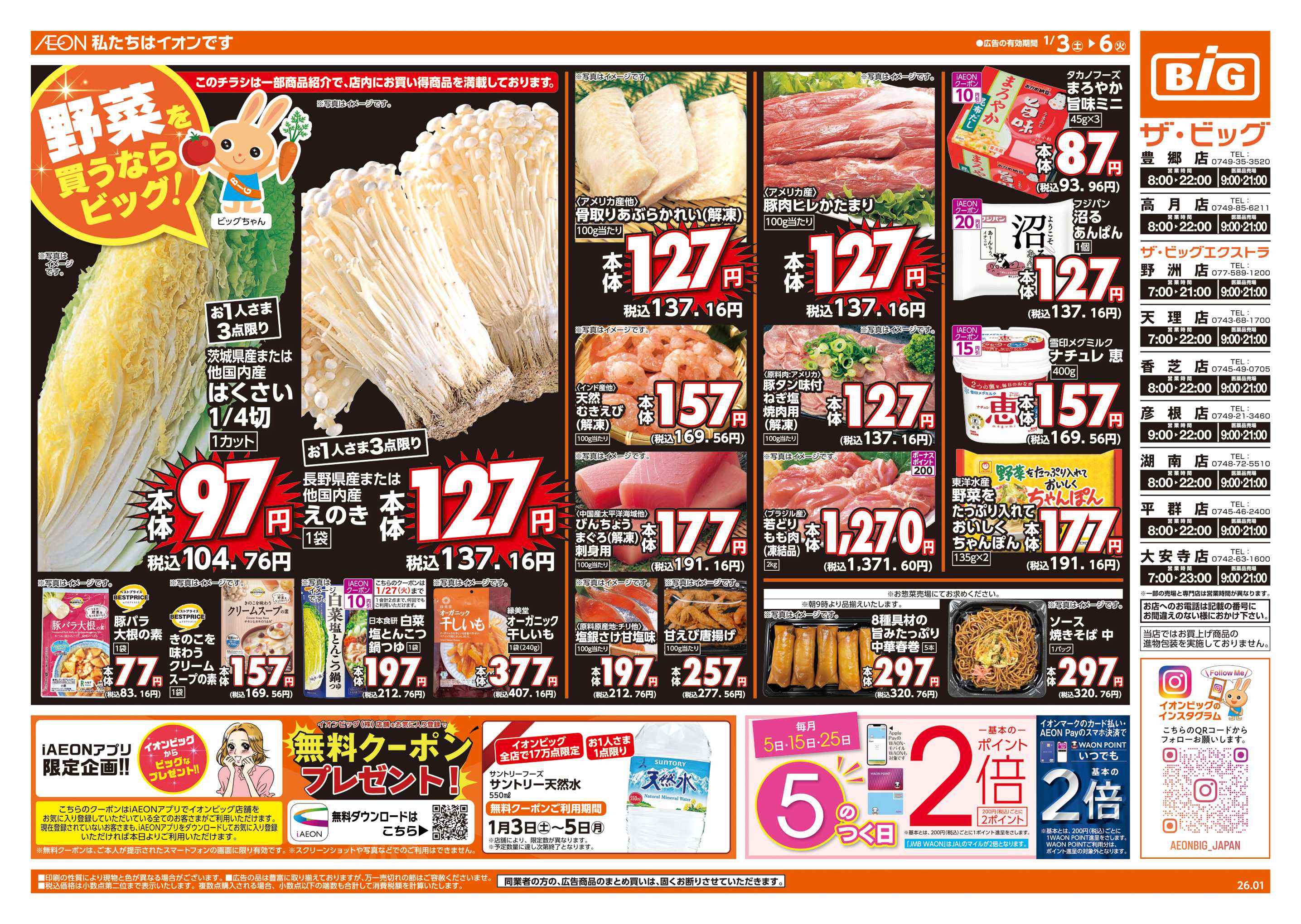 ザ・ビッグ 週末チラシ