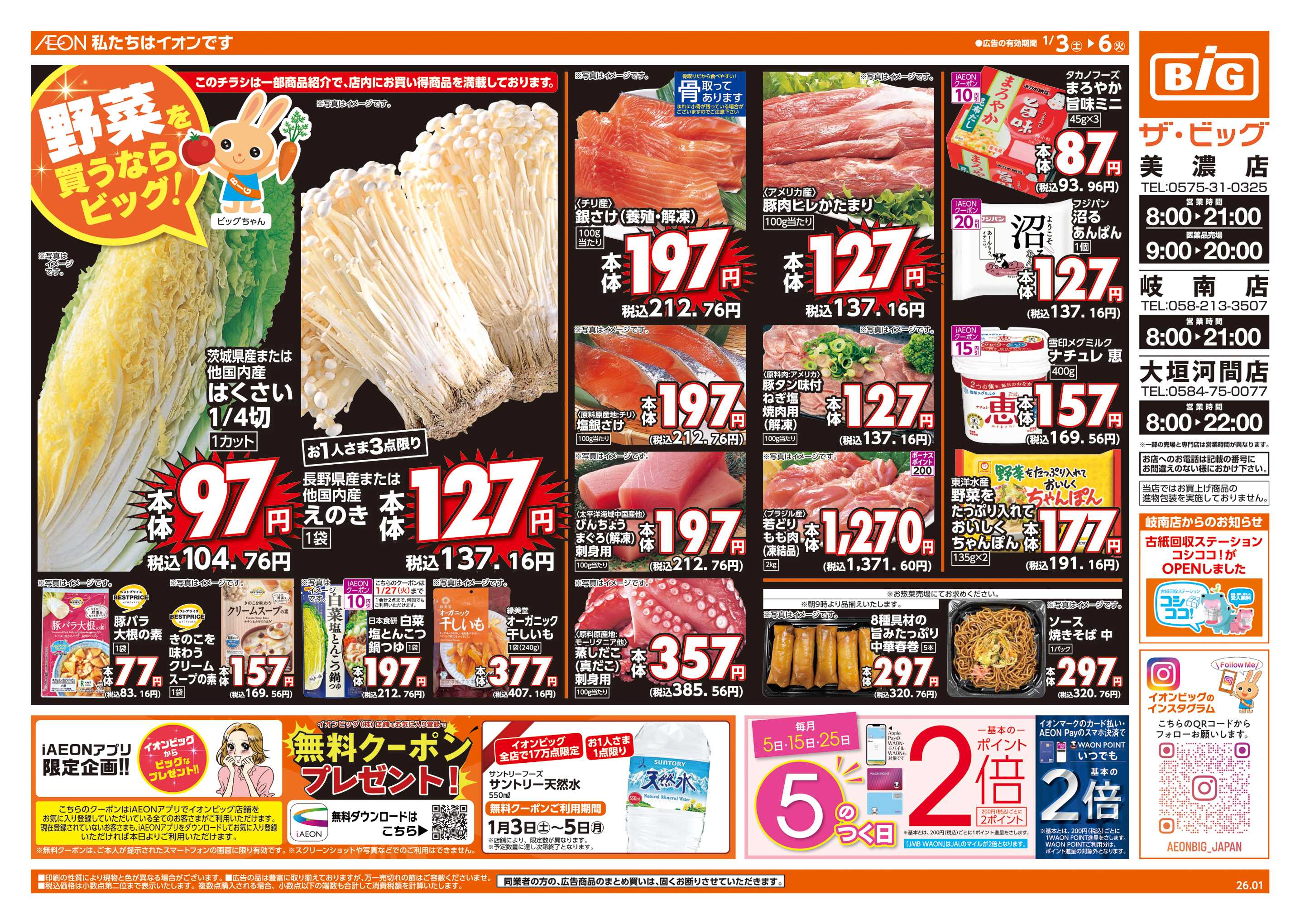 ザ・ビッグ 週末チラシ