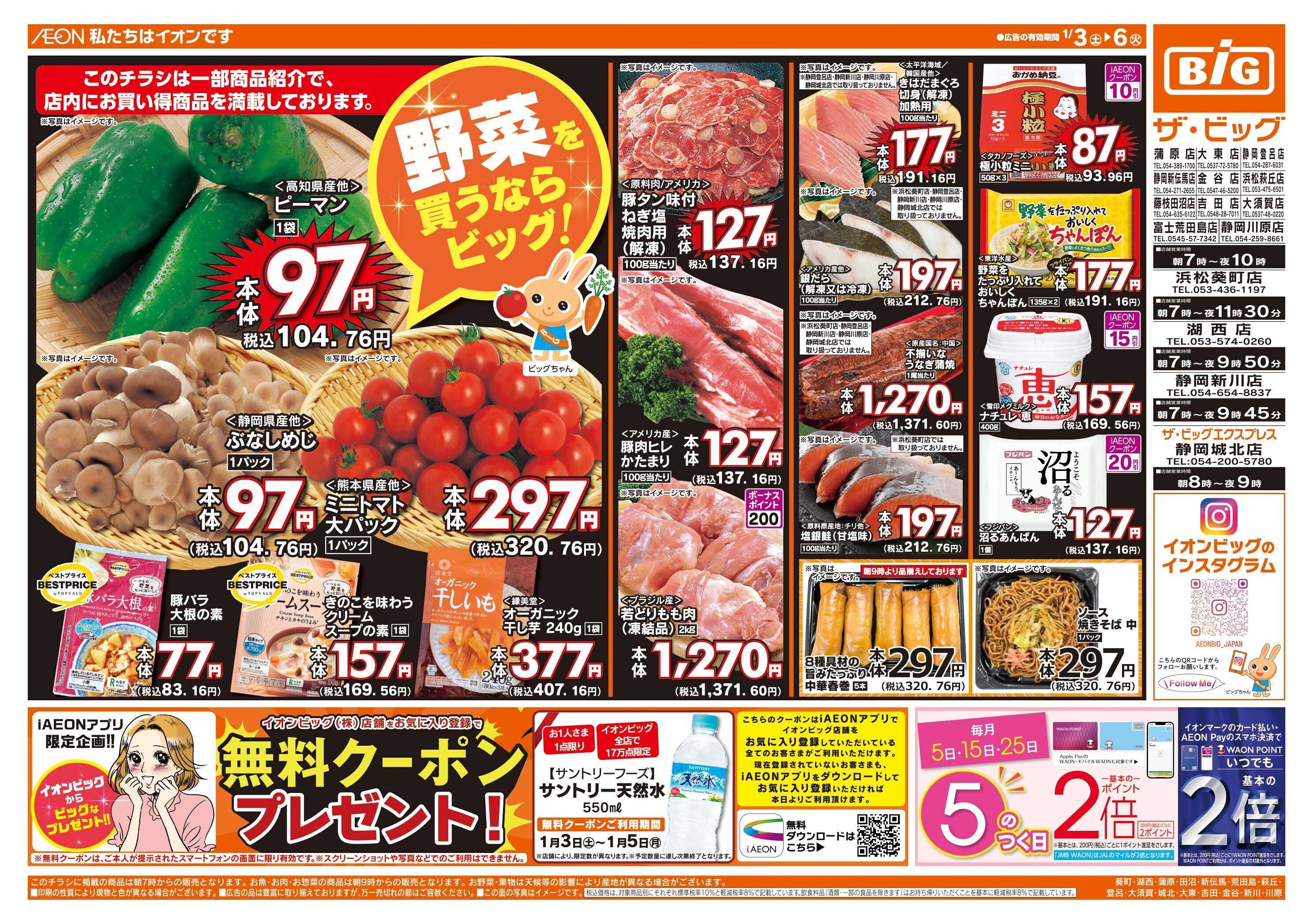 ザ・ビッグ 週末チラシ