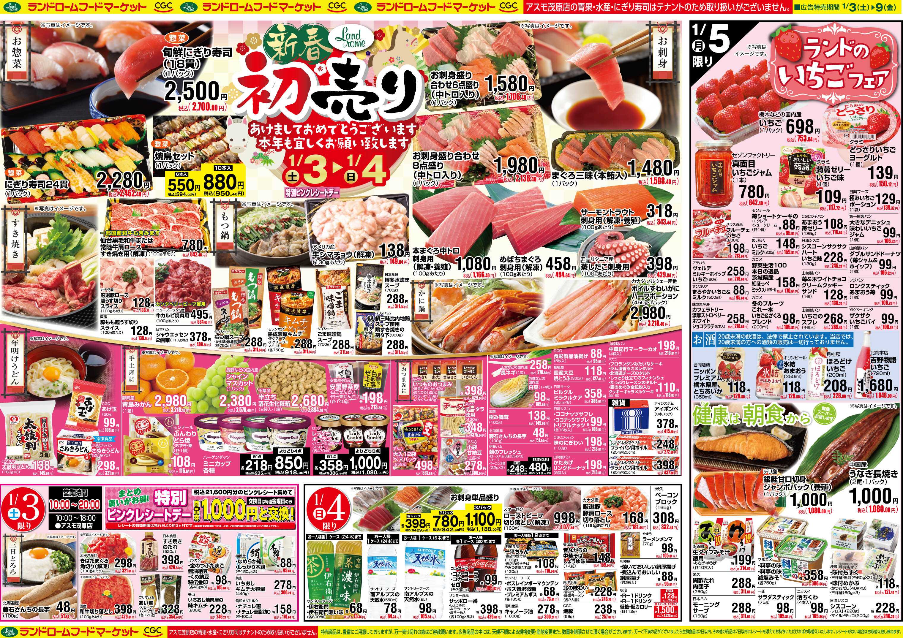 ランドローム 1/3号