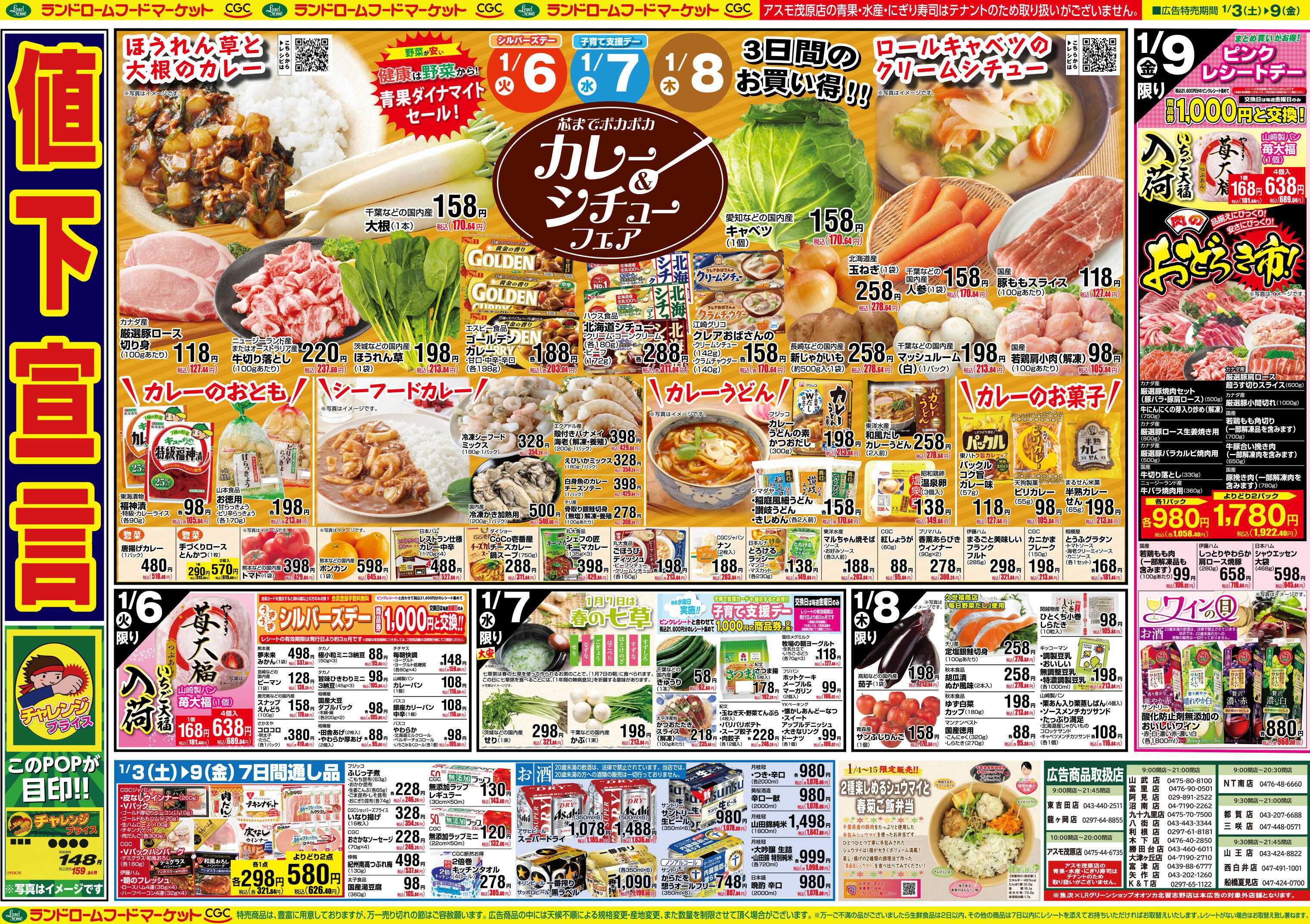 ランドローム 1/3号