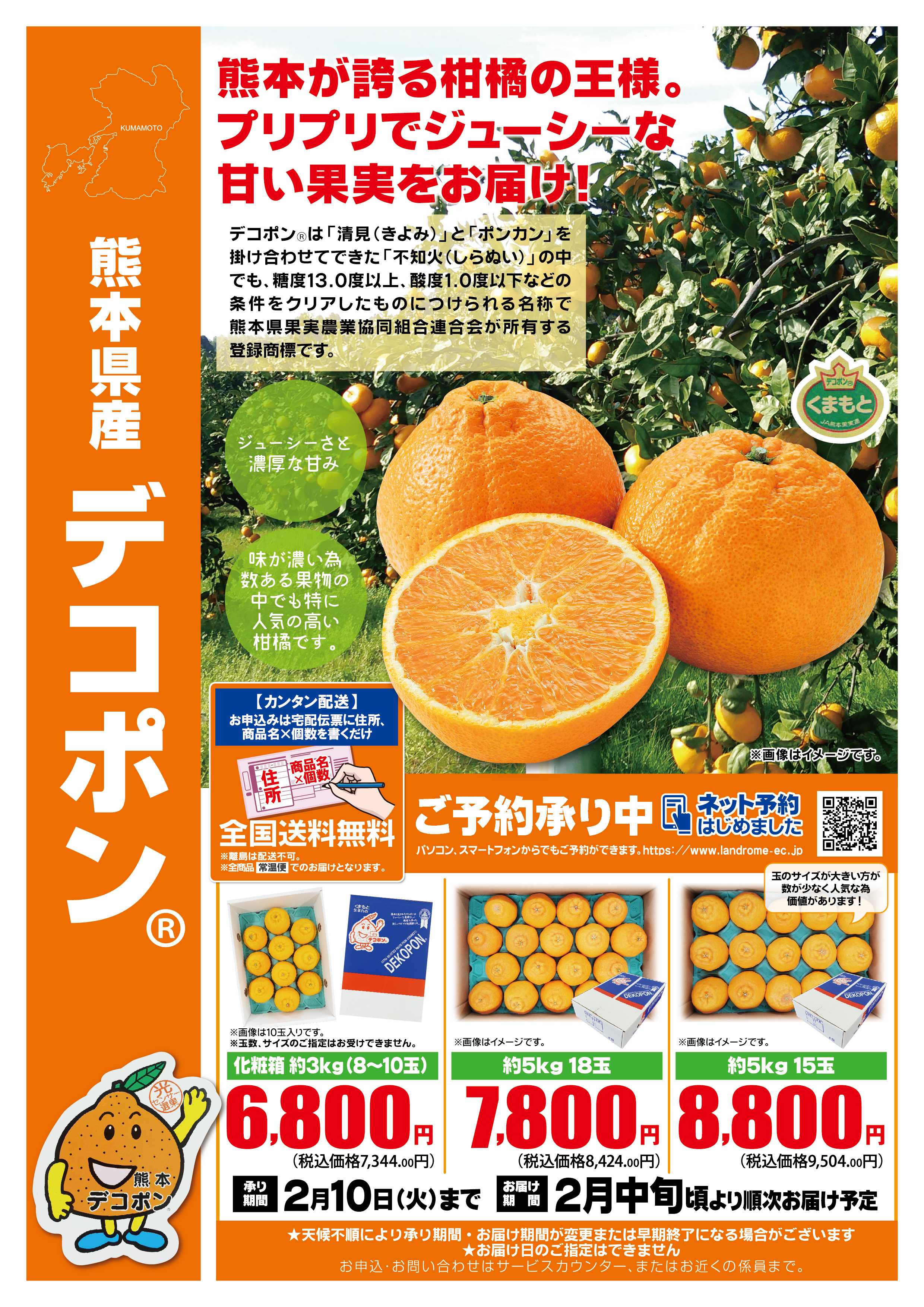 ランドローム 産直ギフト_デコポン