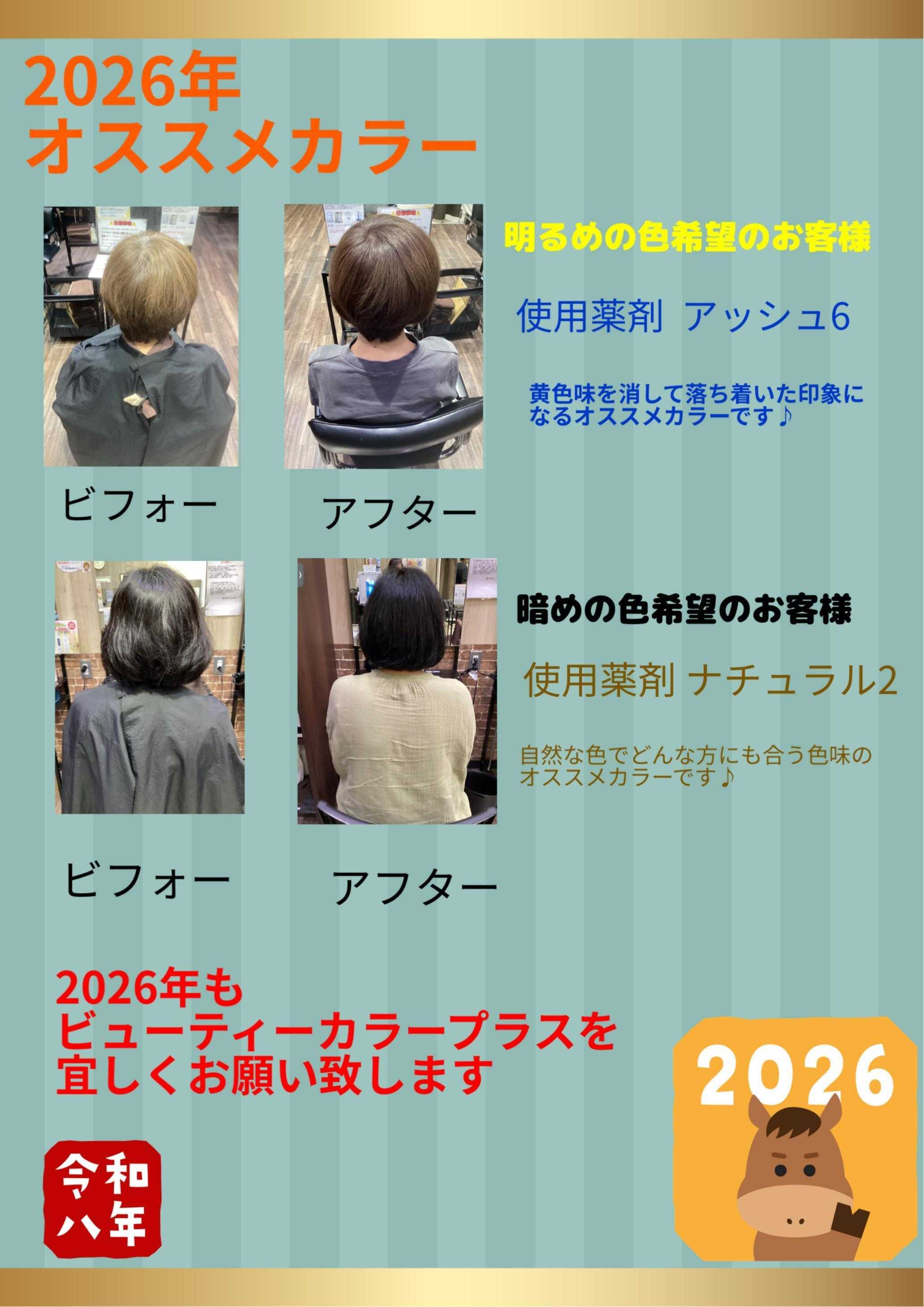 ビューティーカラープラス 