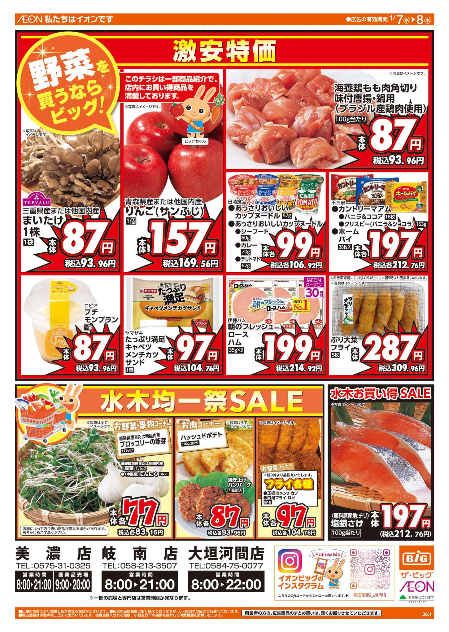 ザ・ビッグ 週中チラシ