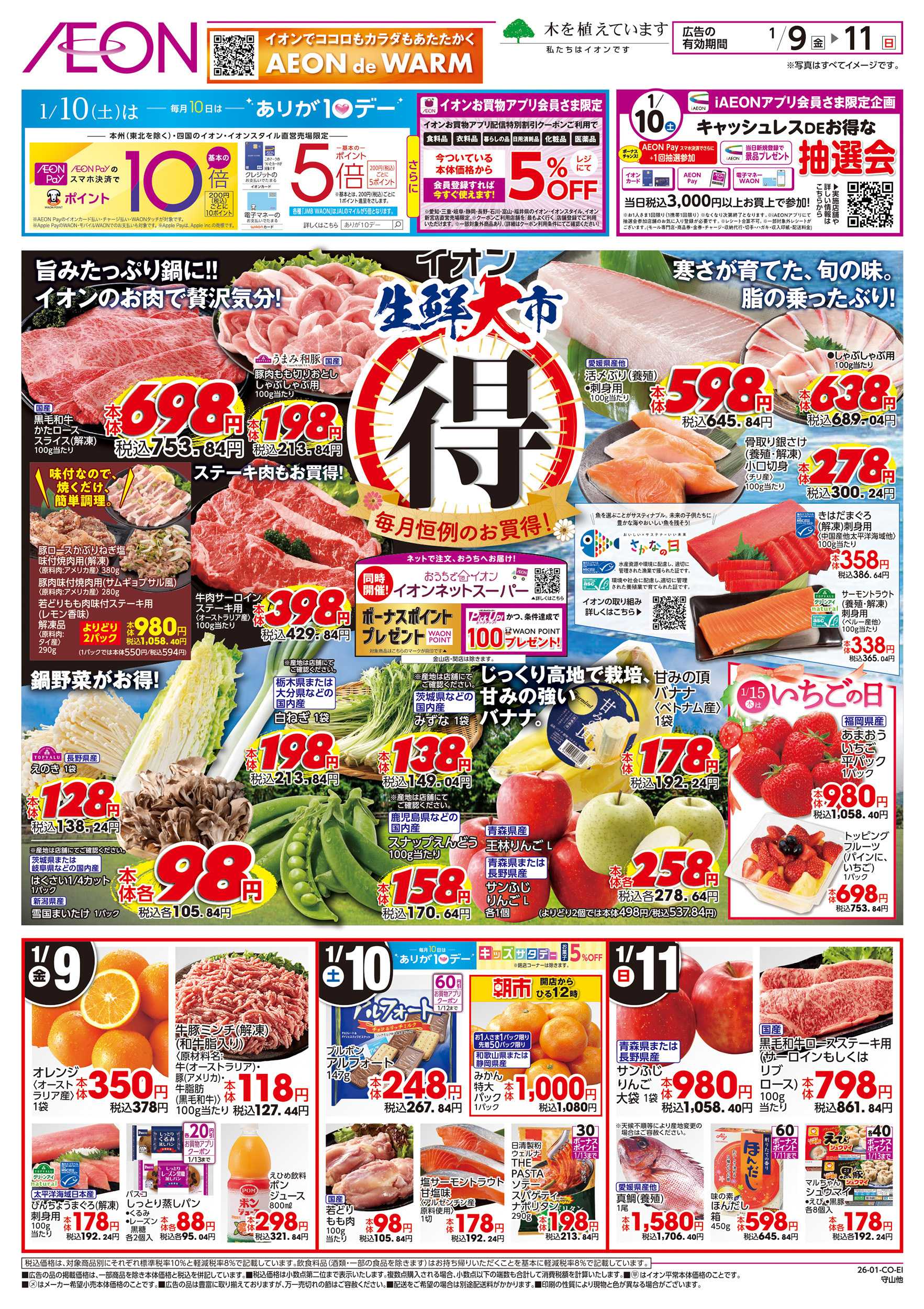 イオン 1/9～1/12