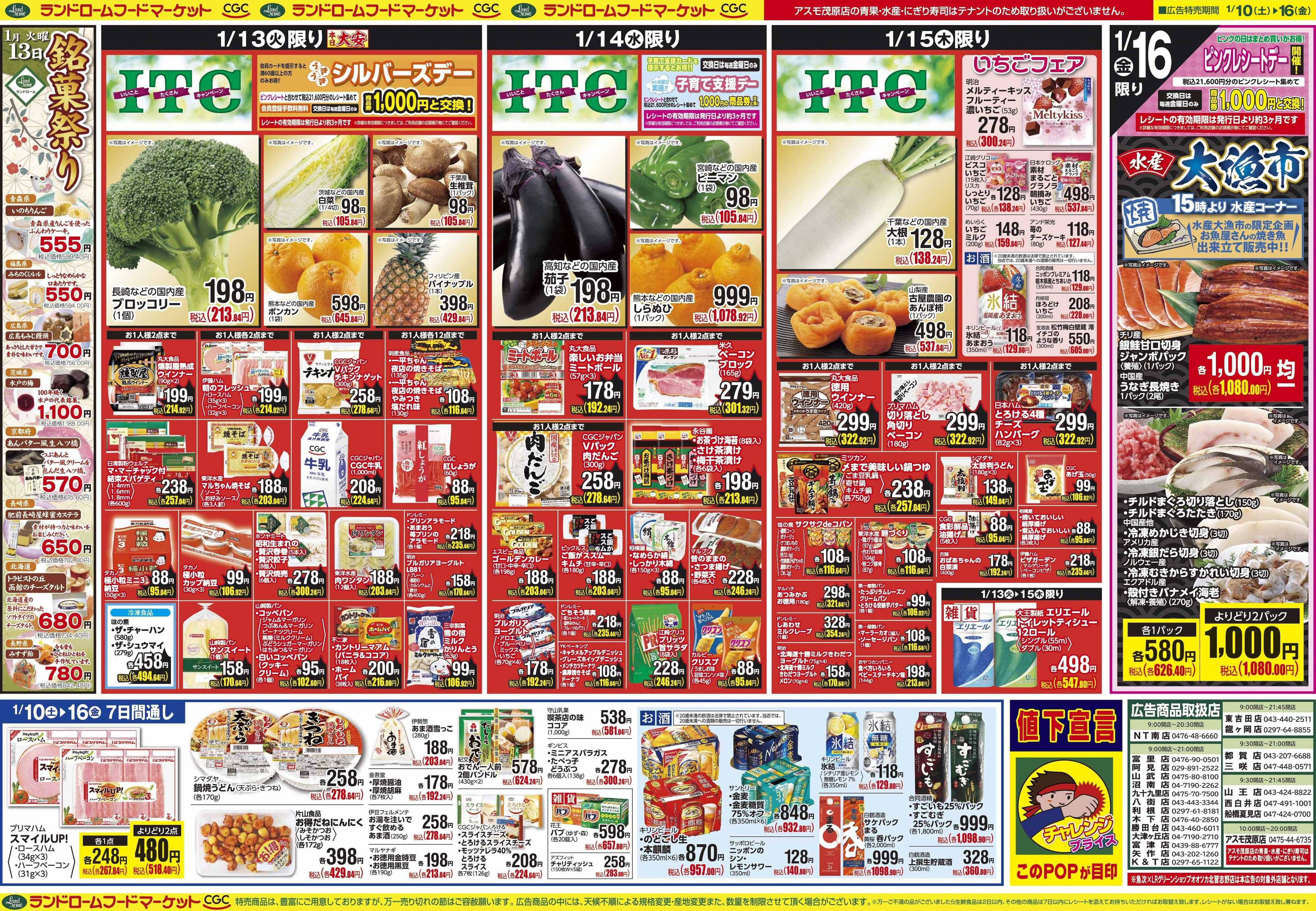 ランドローム 1/10号