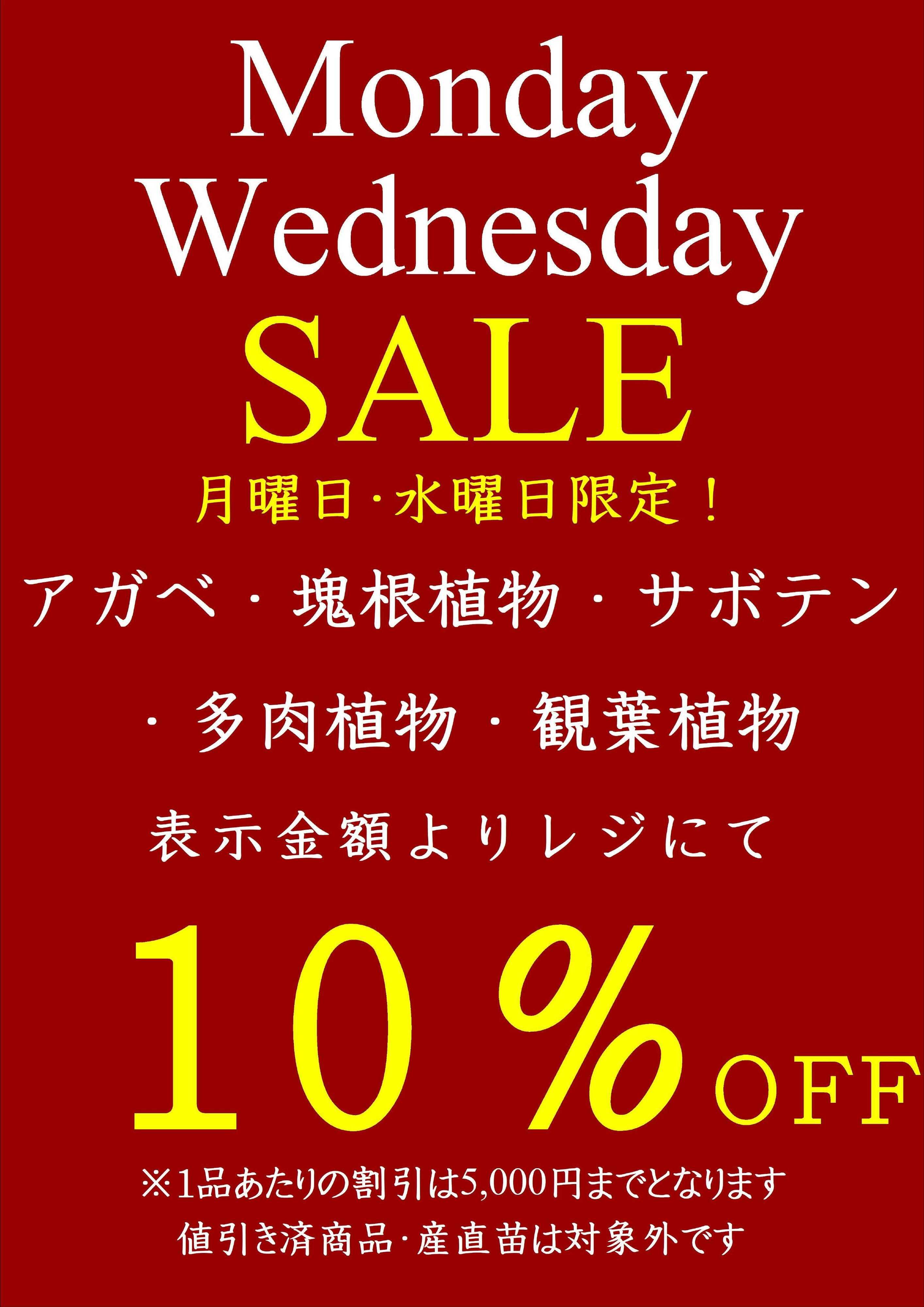 JA尾張中央 ガーデンセンター不二　1月　12、14、19、21、26、28日　月・水セール開催　観葉、サボテン、アガベ、塊根、多肉セール開催！