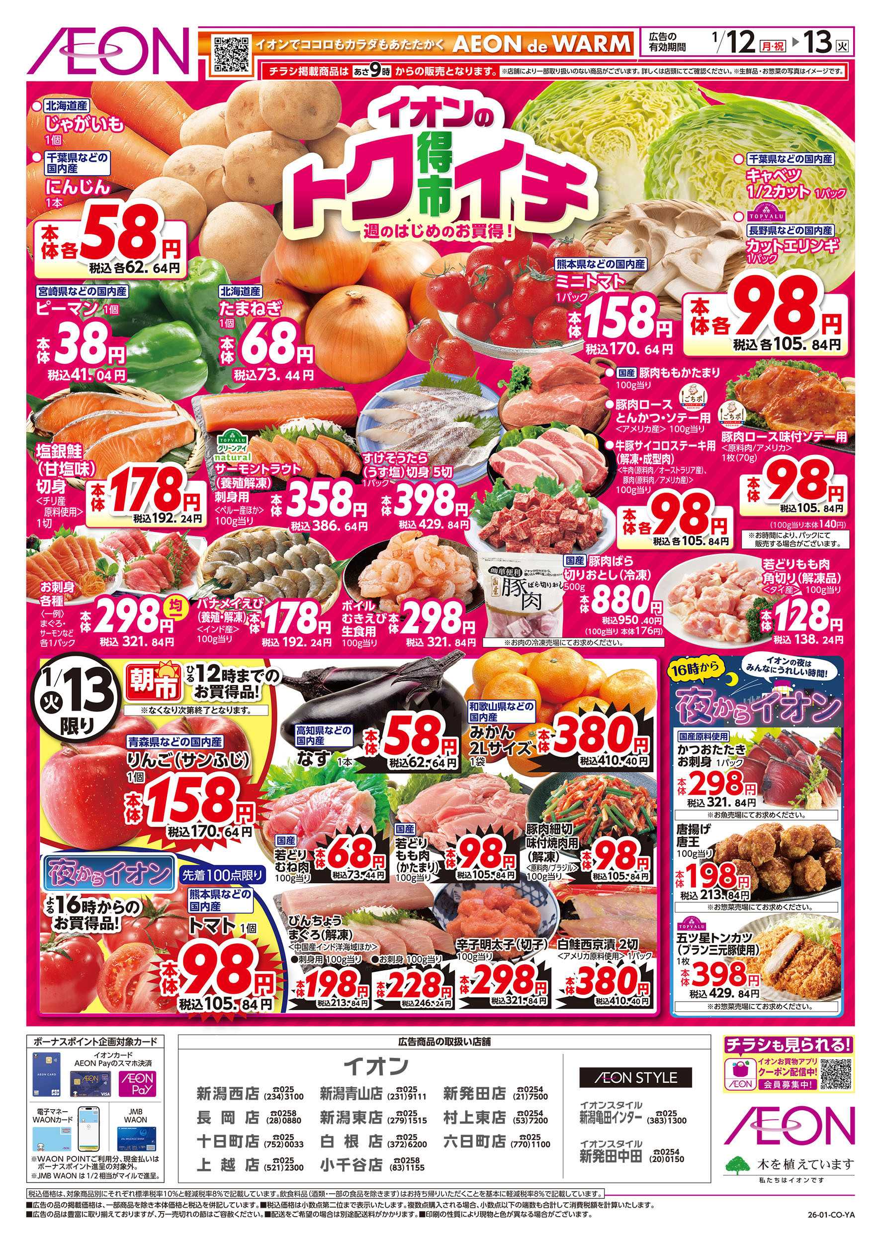 イオン 1/12号　イオンのトクイチ：表面