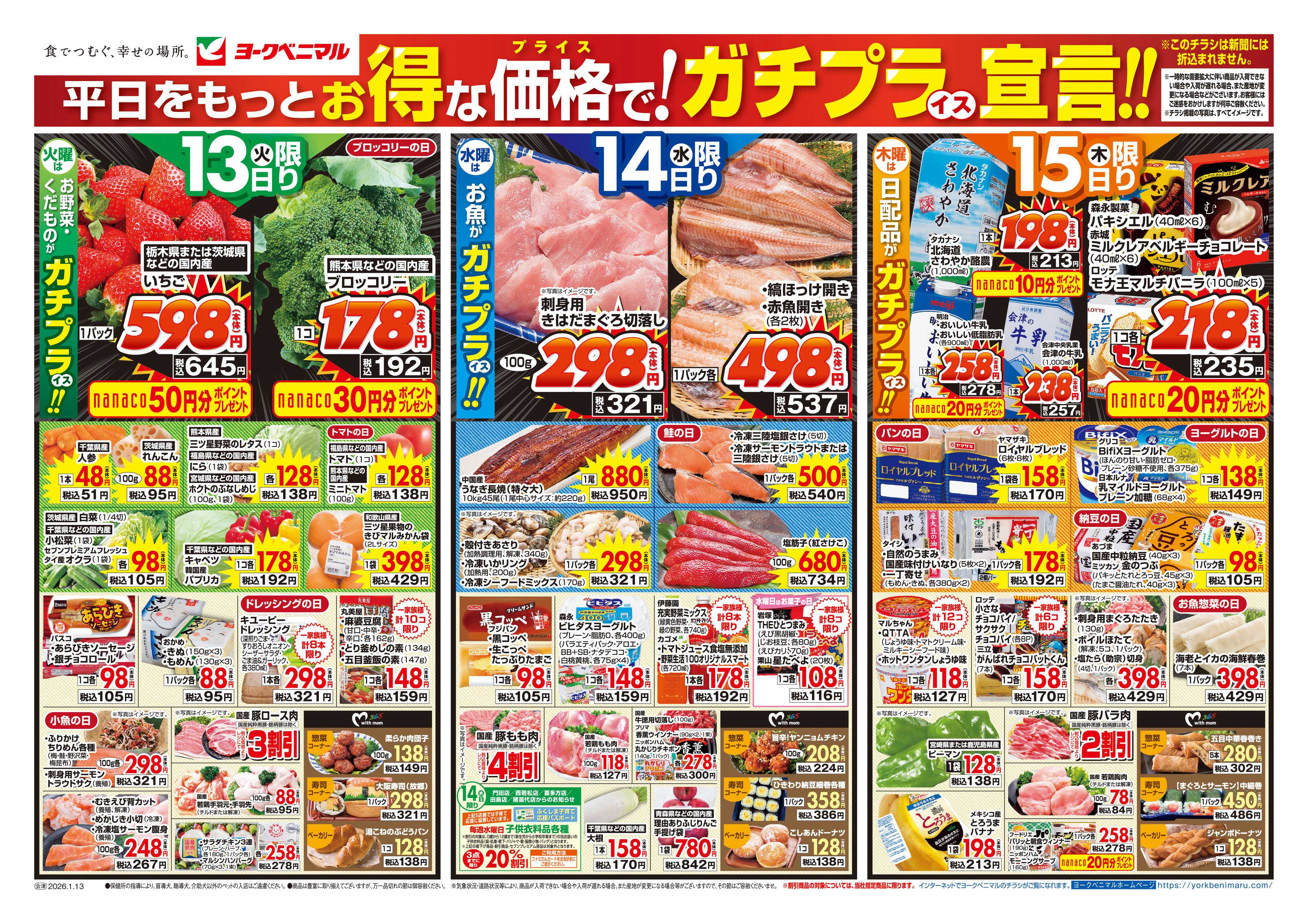 ヨークベニマル 1/13号チラシ