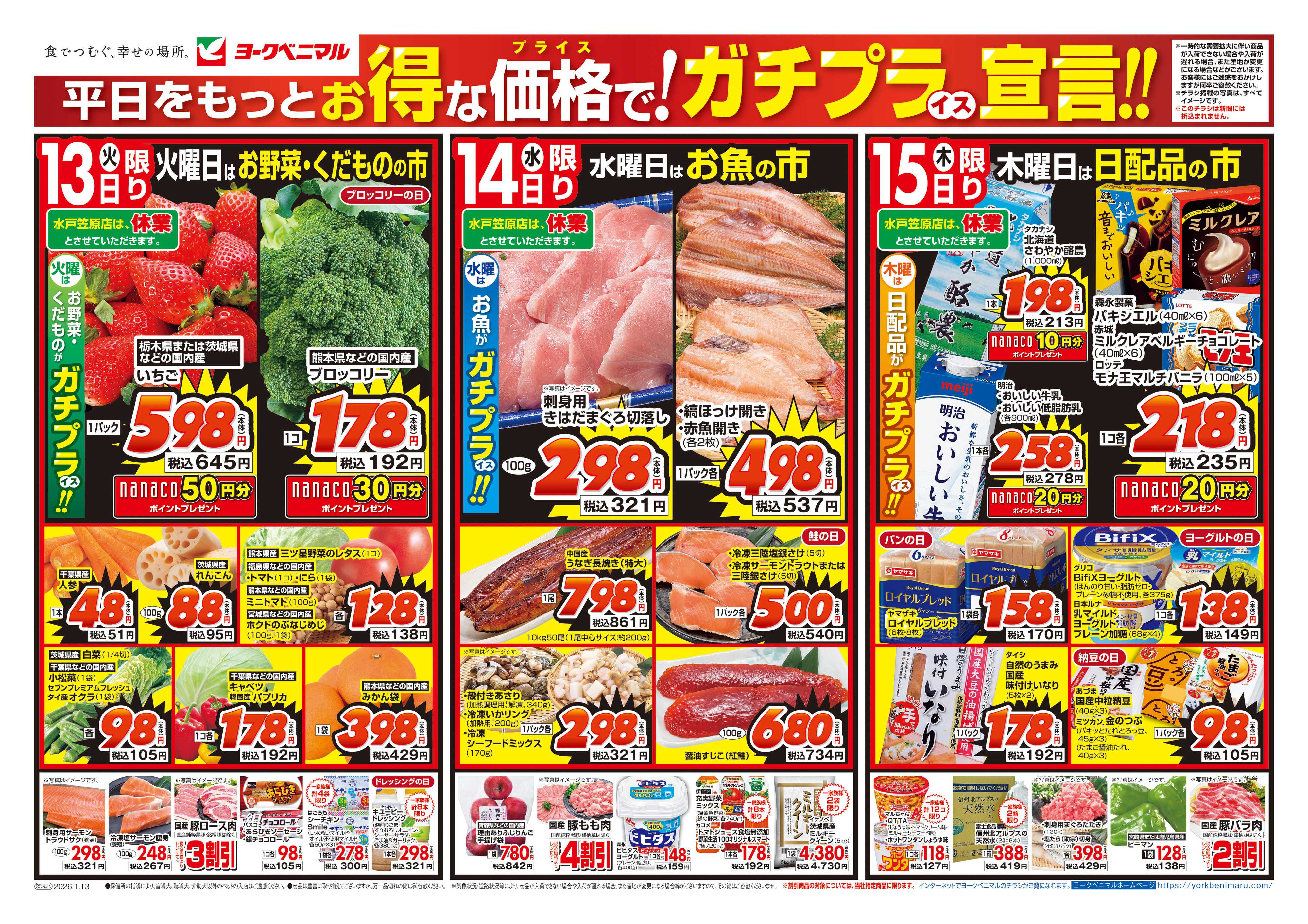 ヨークベニマル 1/13号チラシ