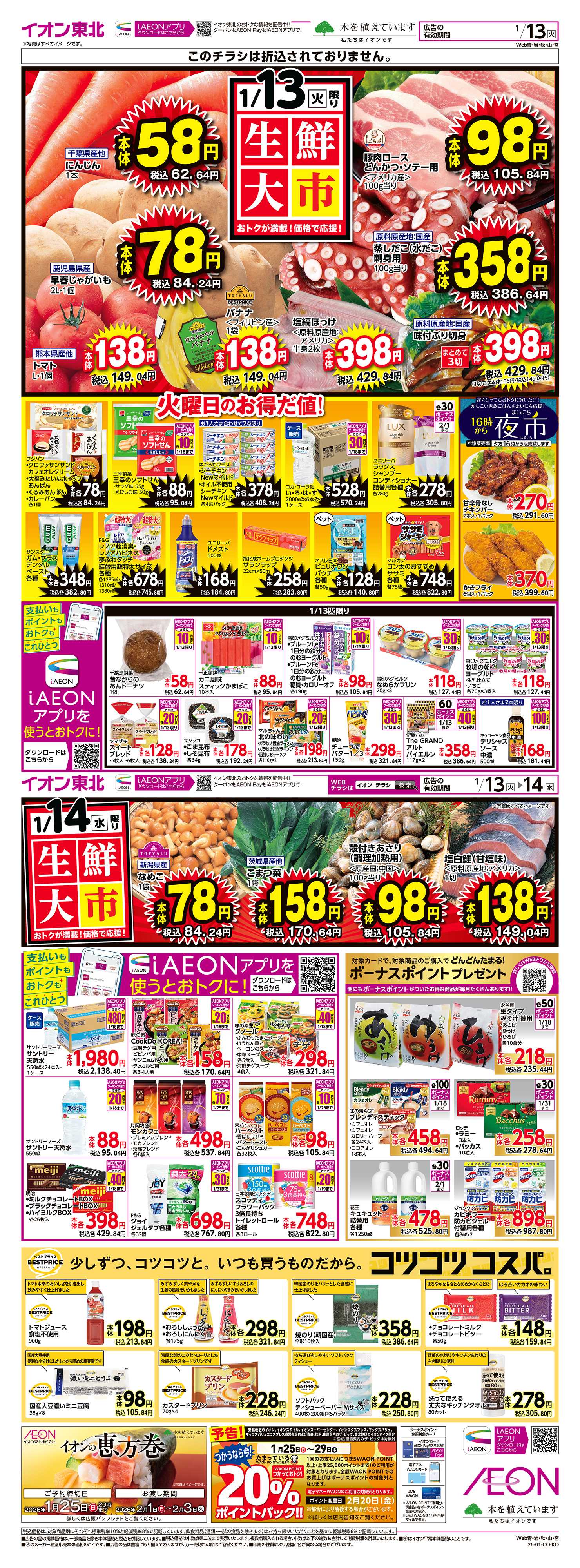 イオン 生鮮大市