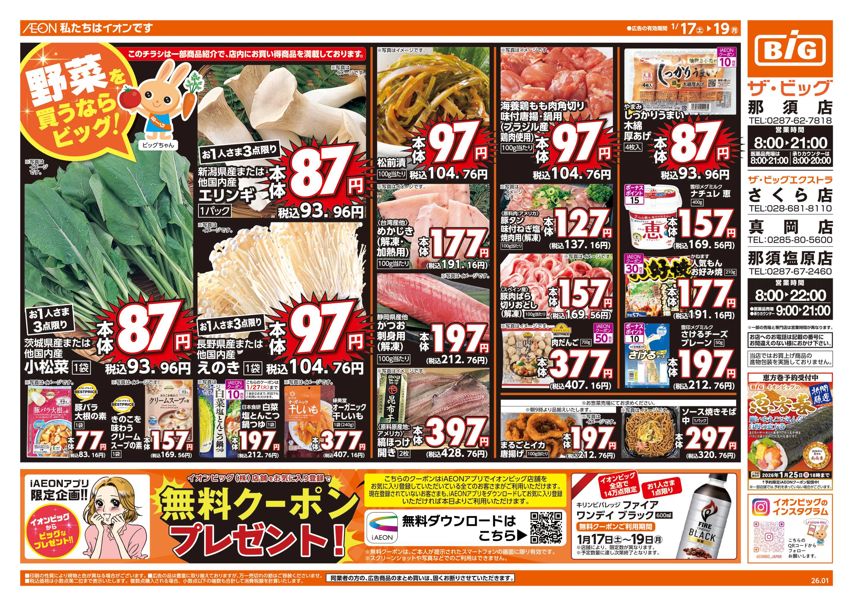 ザ・ビッグ 週末チラシ