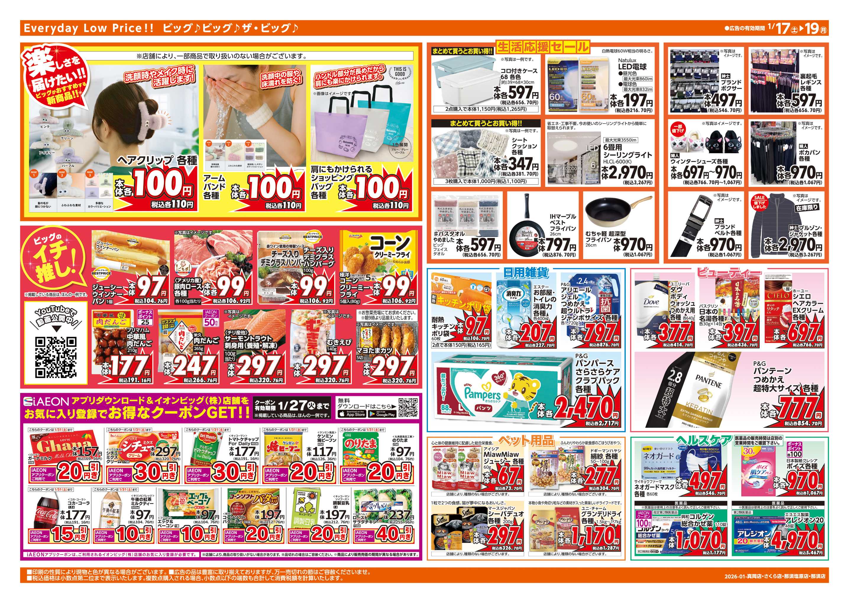 ザ・ビッグ 週末チラシ