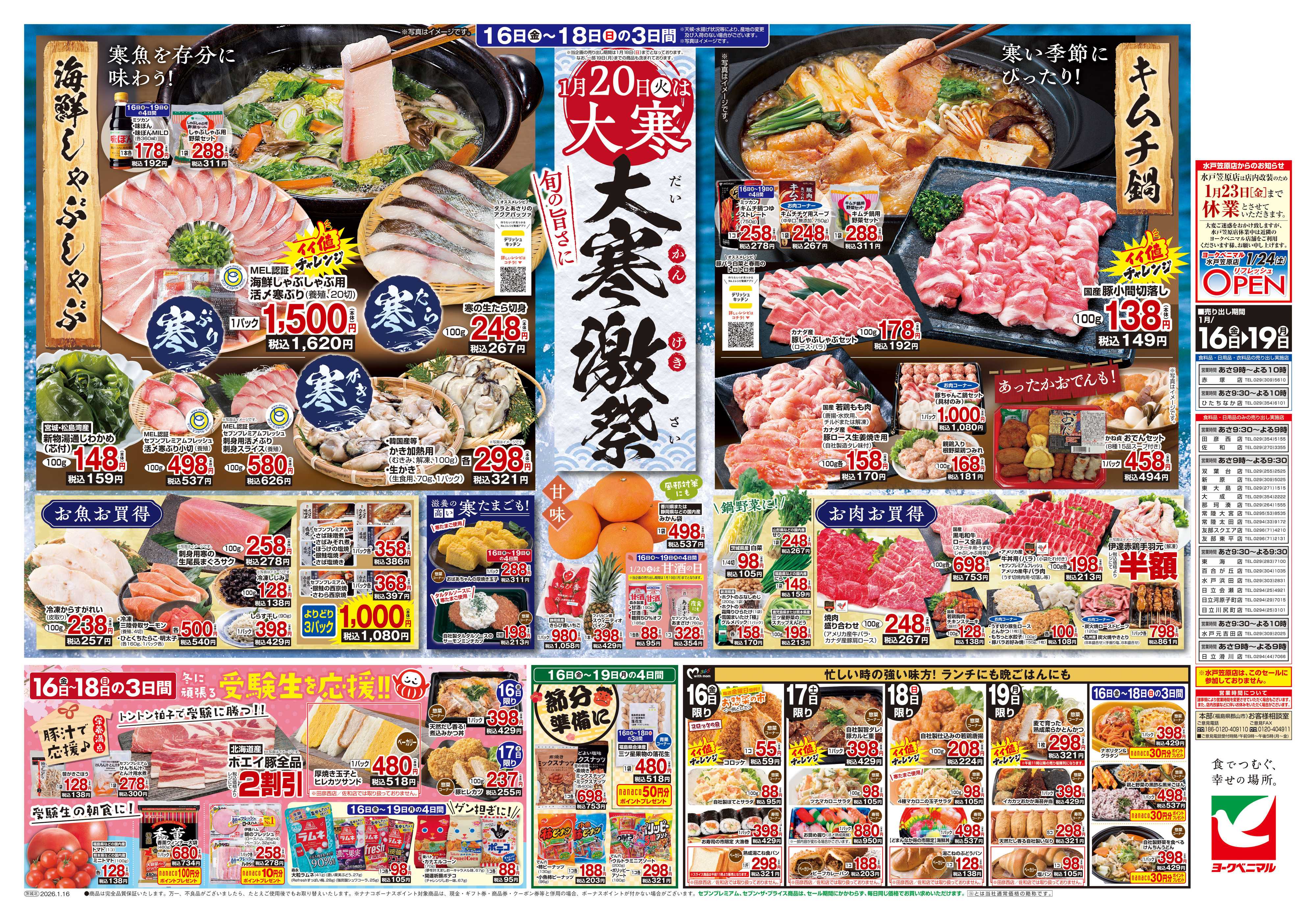 ヨークベニマル 1/16号チラシ