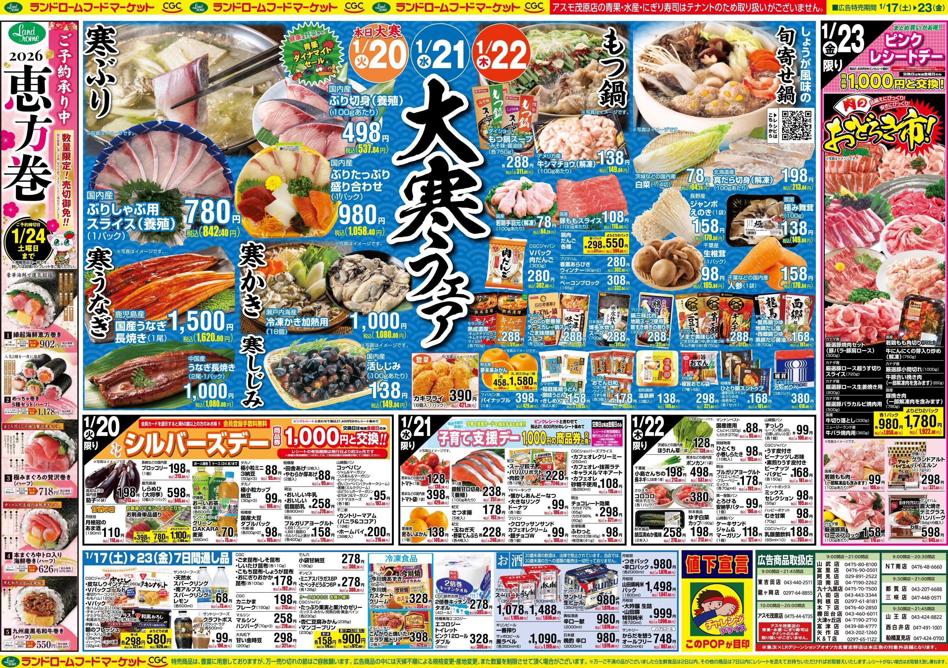 ランドローム 1/17号