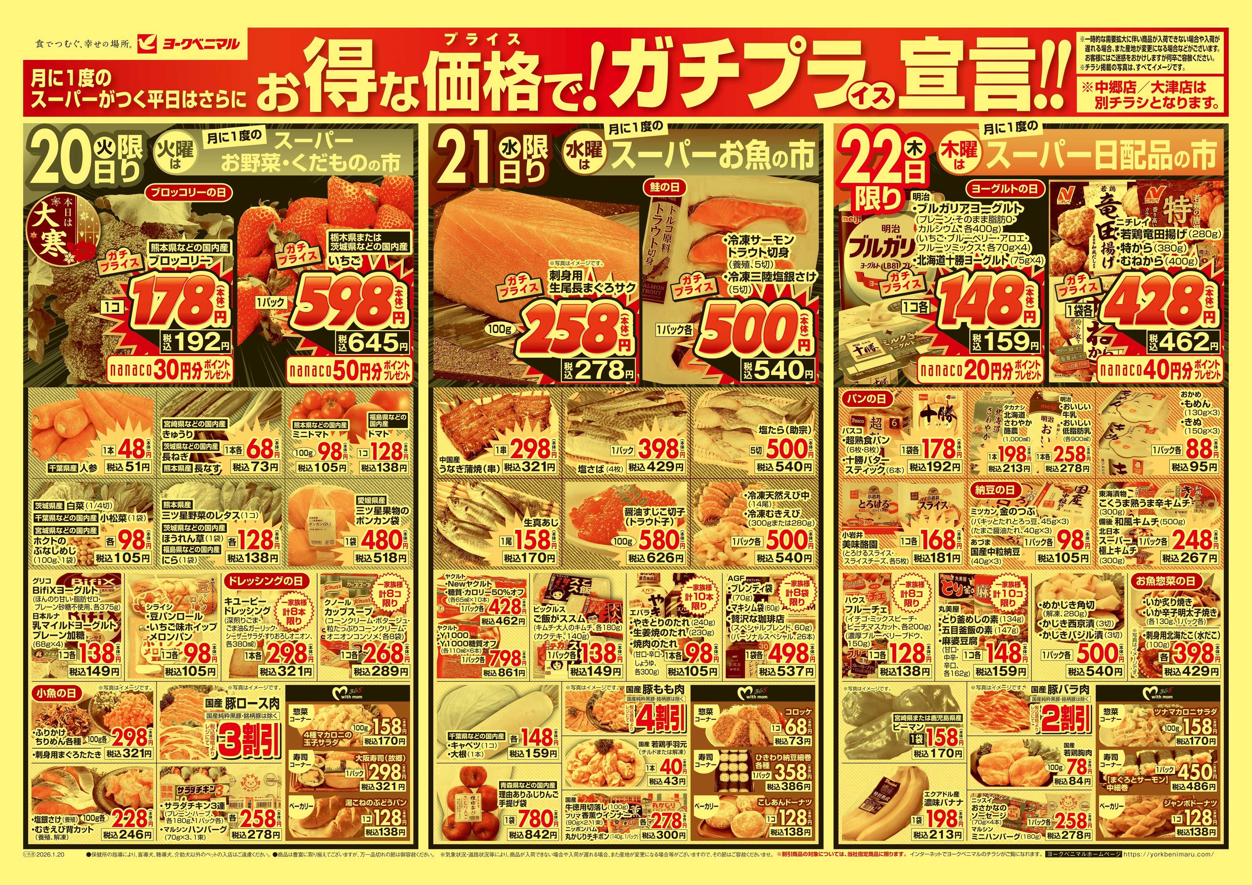 ヨークベニマル 1/20号チラシ