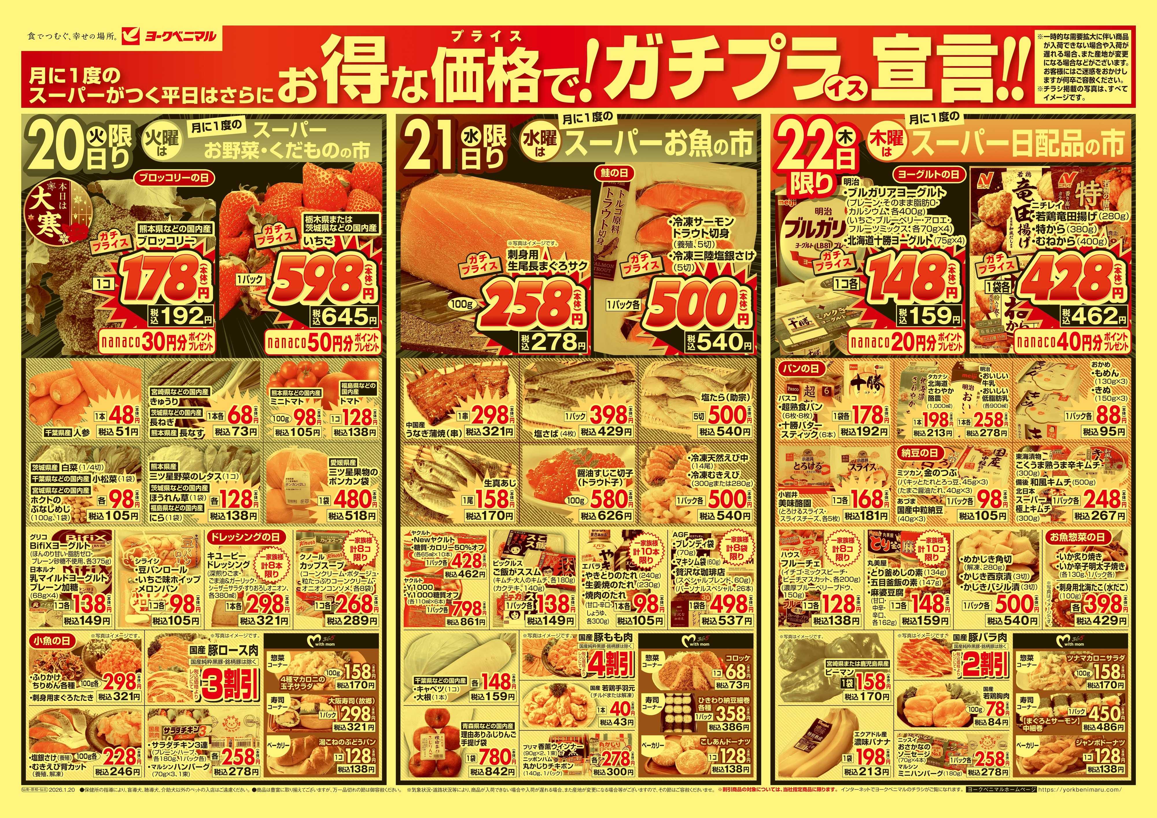 ヨークベニマル 1/20号チラシ
