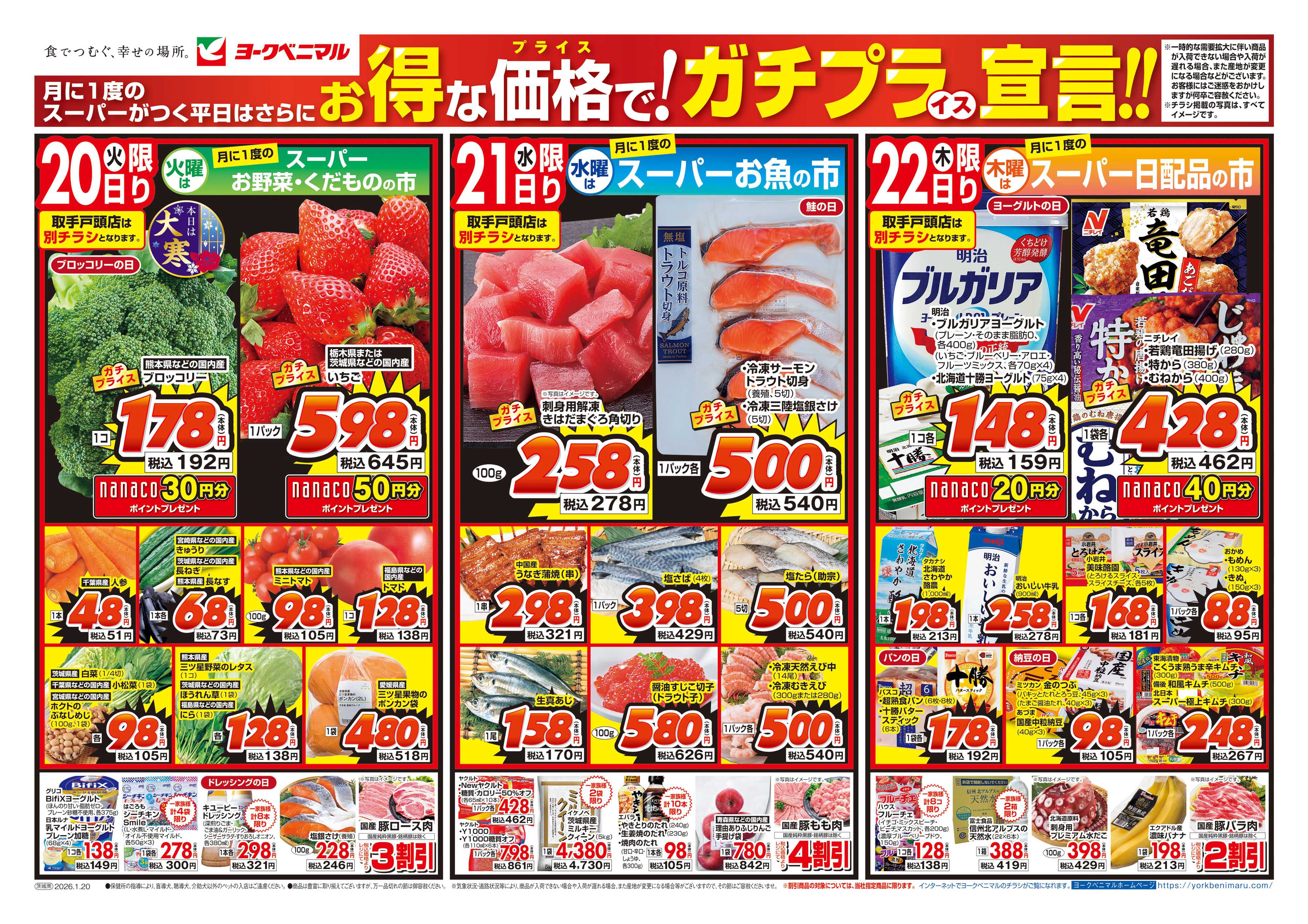 ヨークベニマル 1/20号チラシ