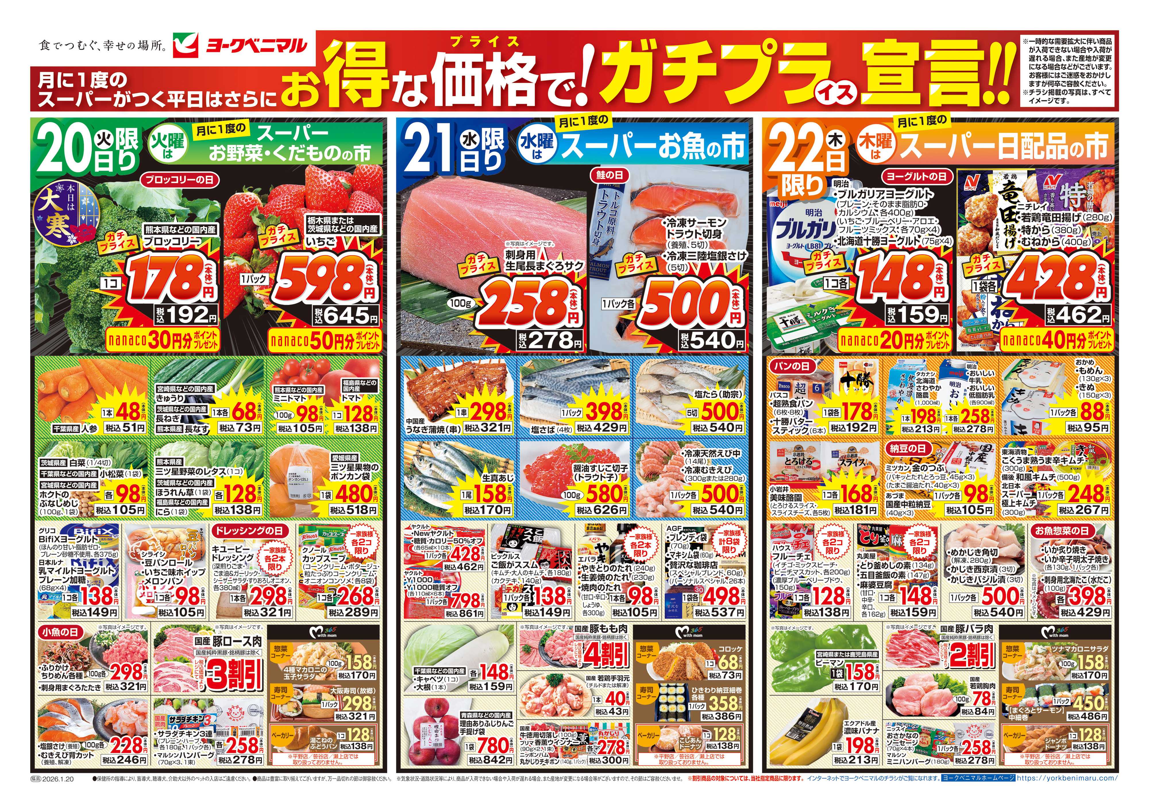 ヨークベニマル 1/20号チラシ