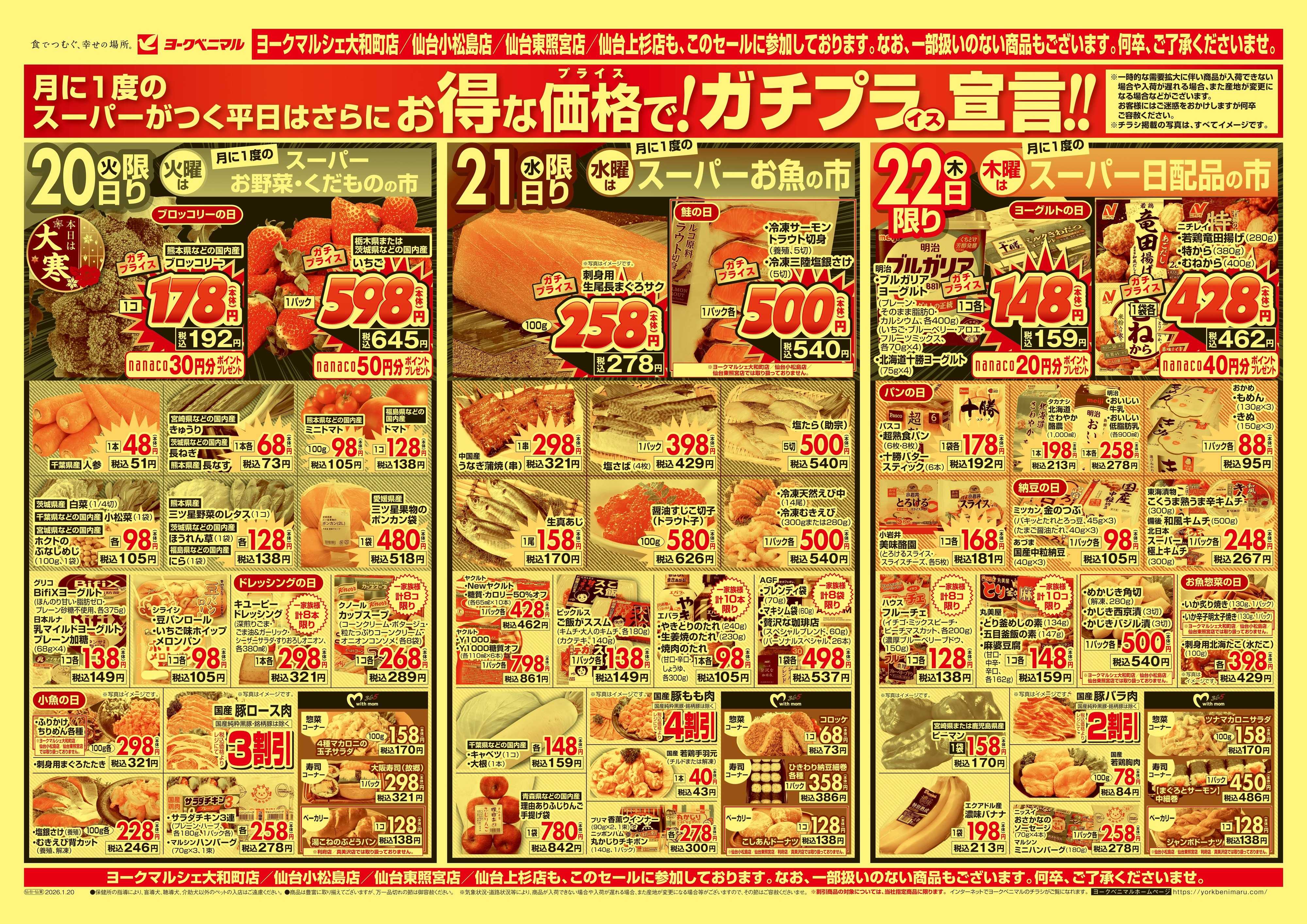 ヨークベニマル 1/20号チラシ