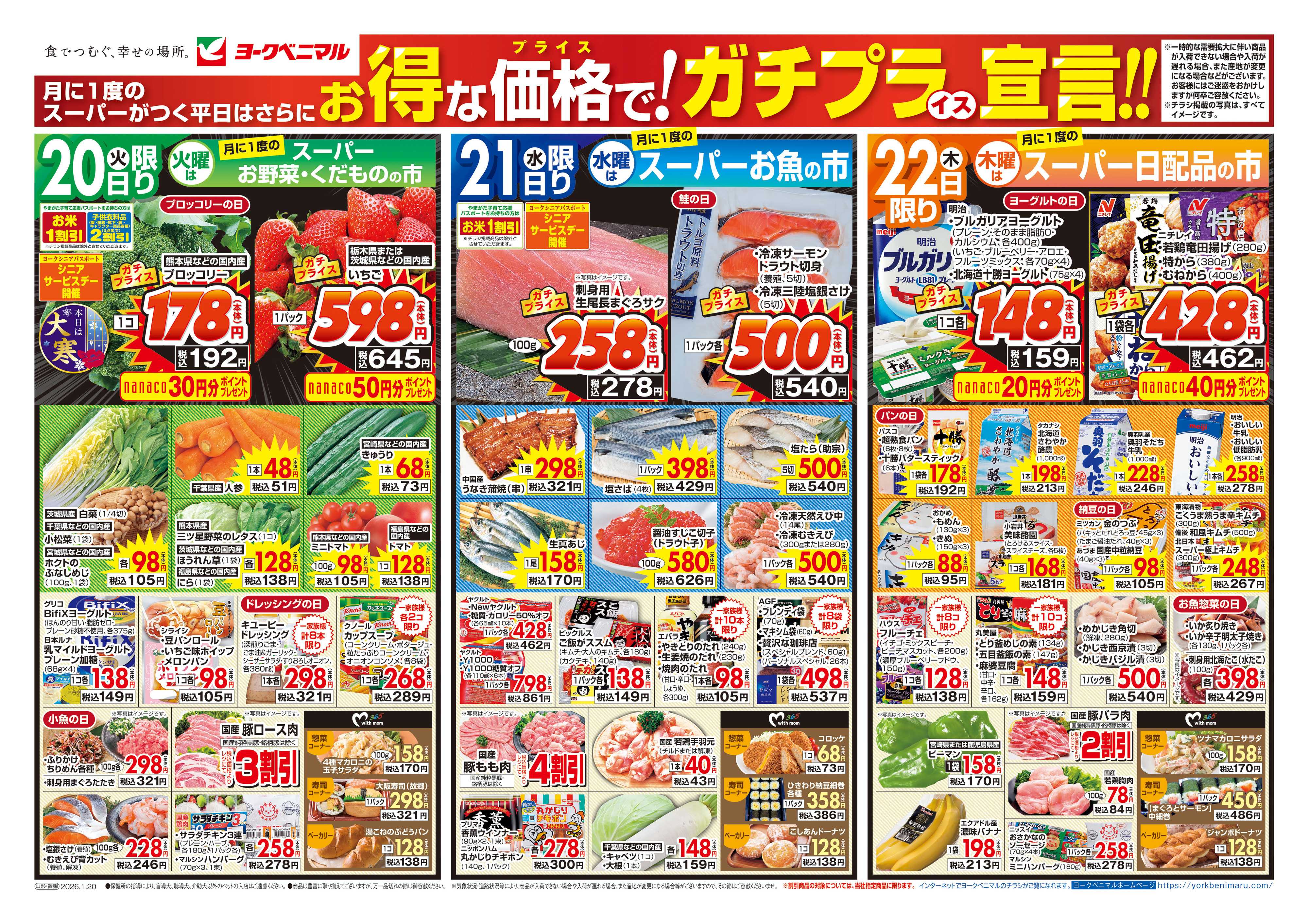 ヨークベニマル 1/20号チラシ