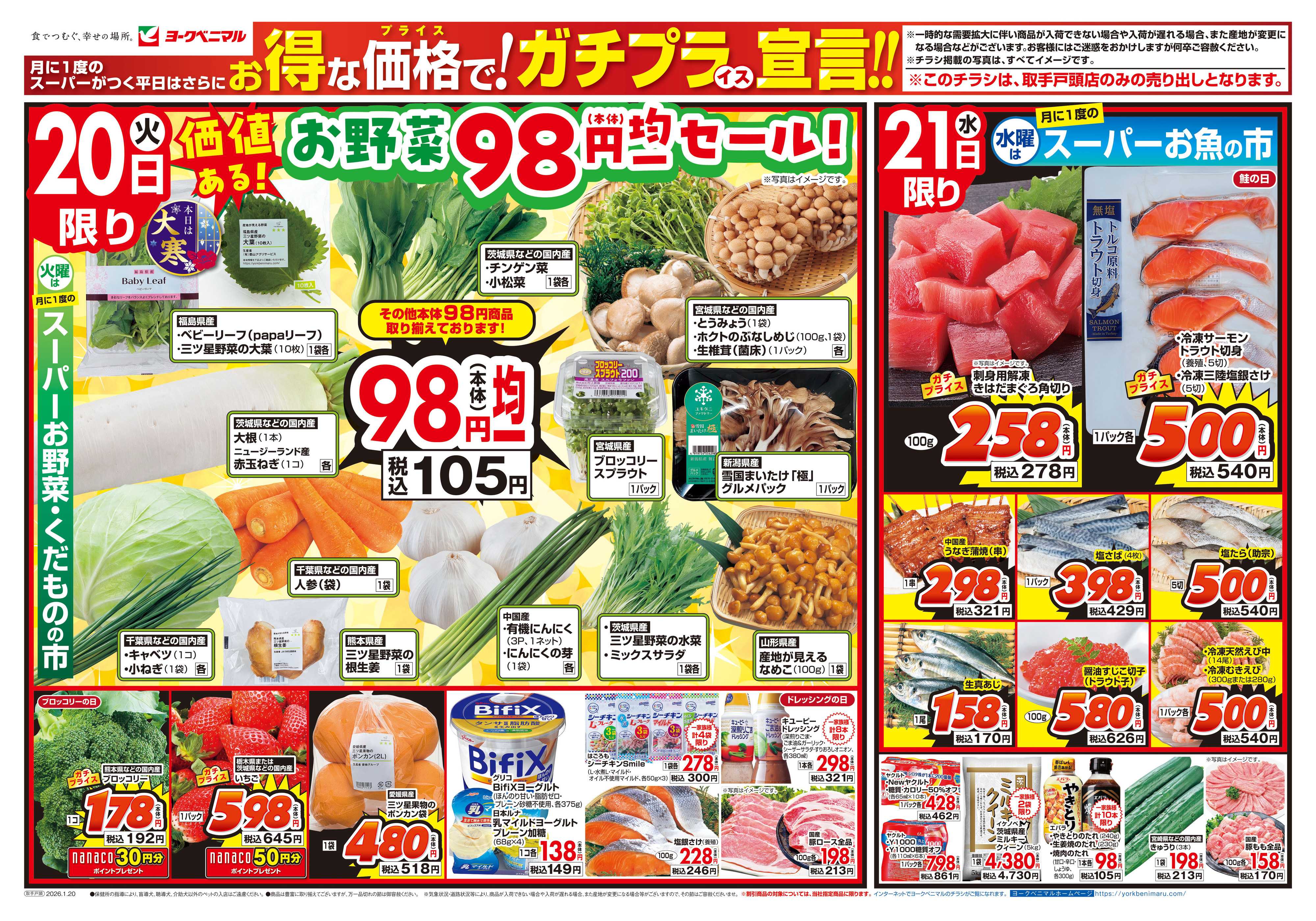 ヨークベニマル 1/20号チラシ