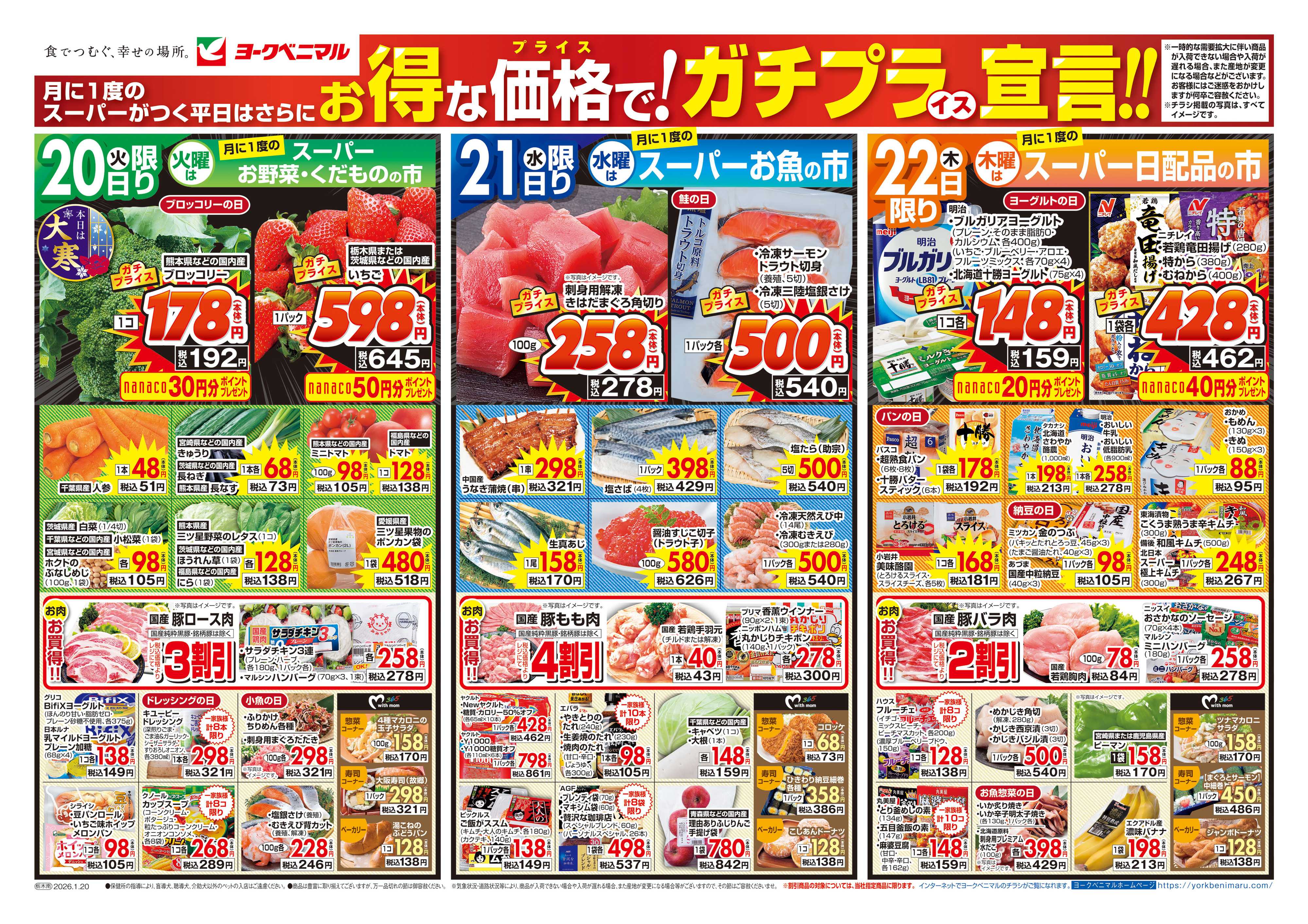 ヨークベニマル 1/20号チラシ