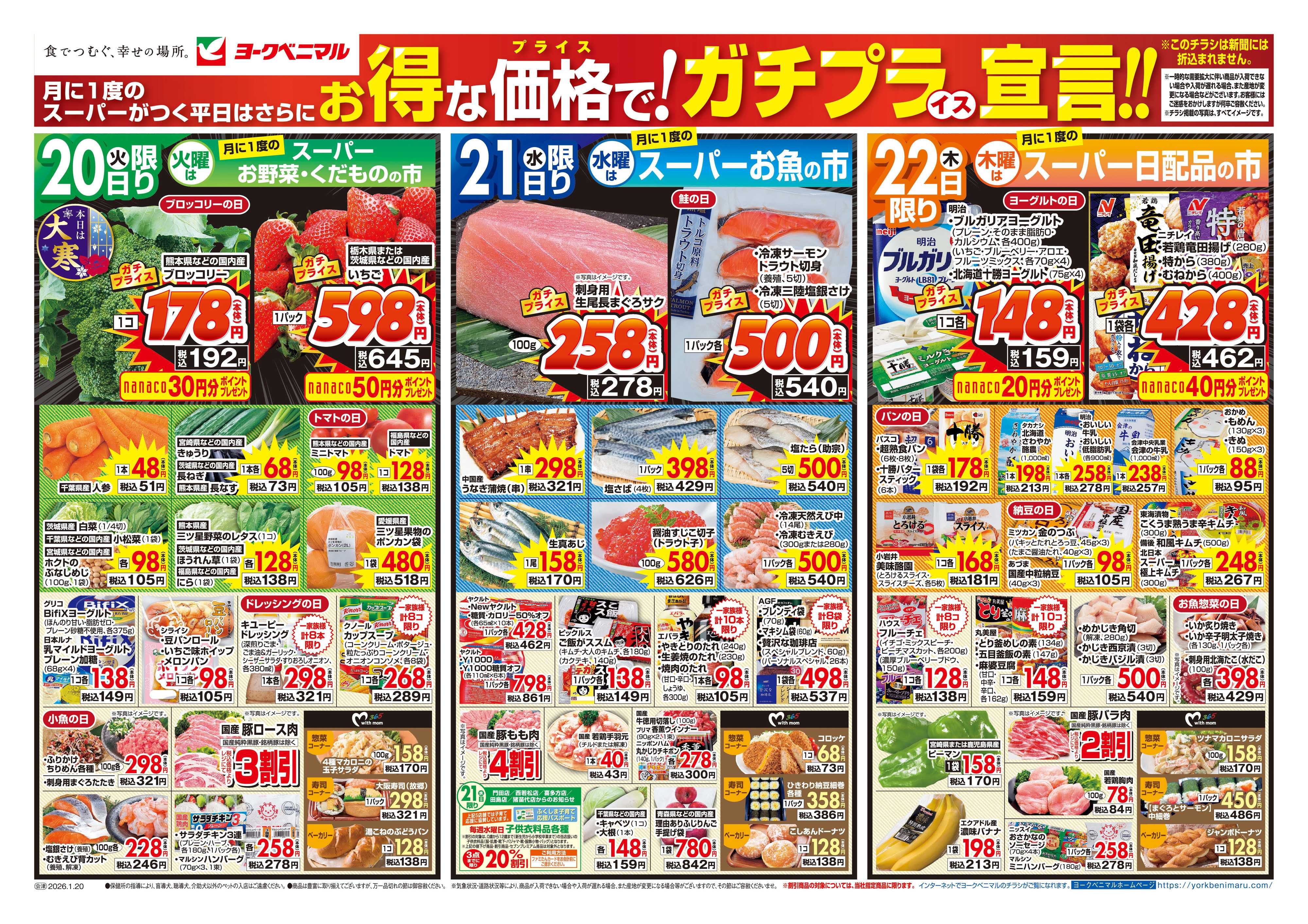 ヨークベニマル 1/20号チラシ