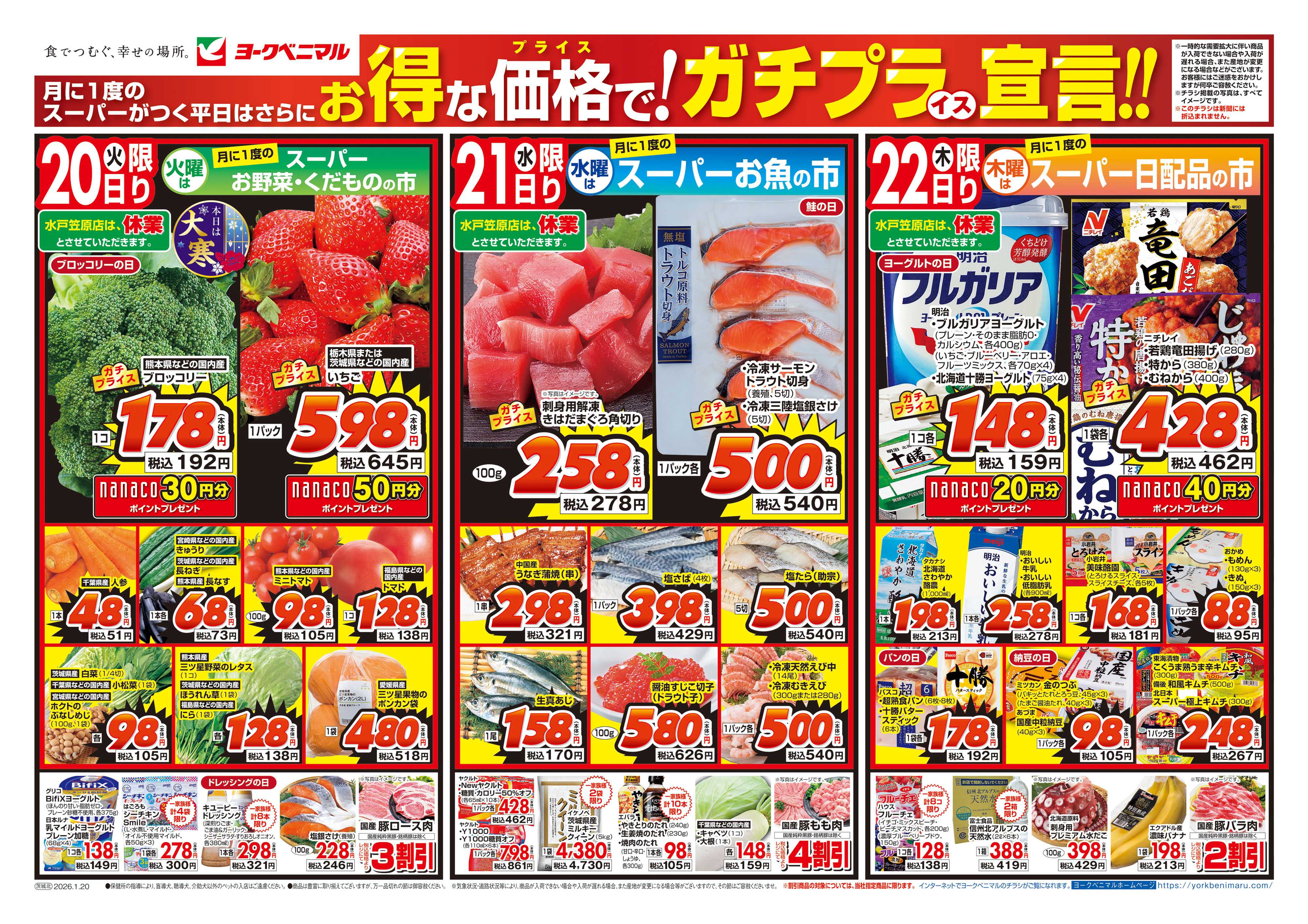 ヨークベニマル 1/20号チラシ