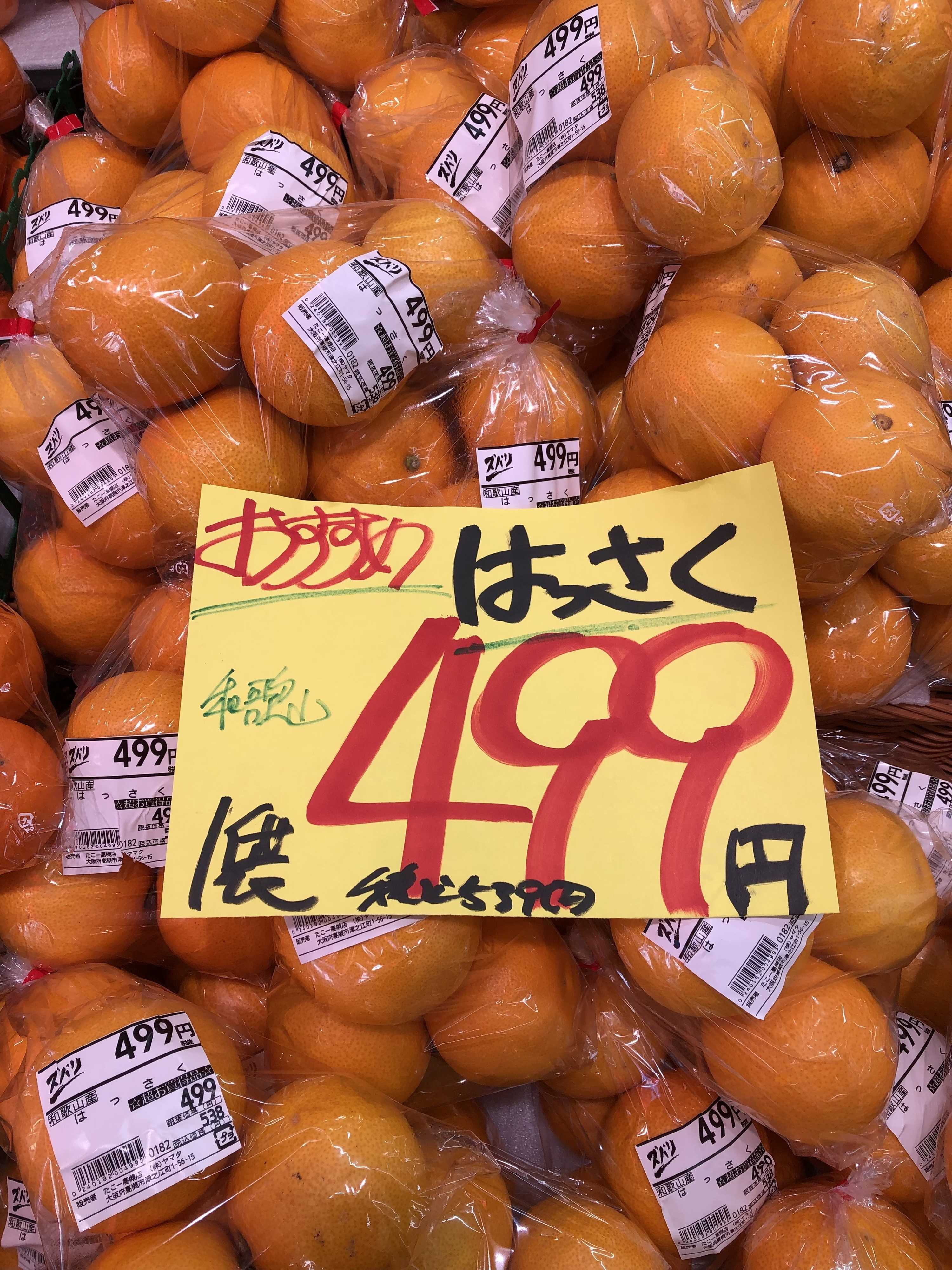 たこ一 日曜日もどかーんと大特価ー‼️