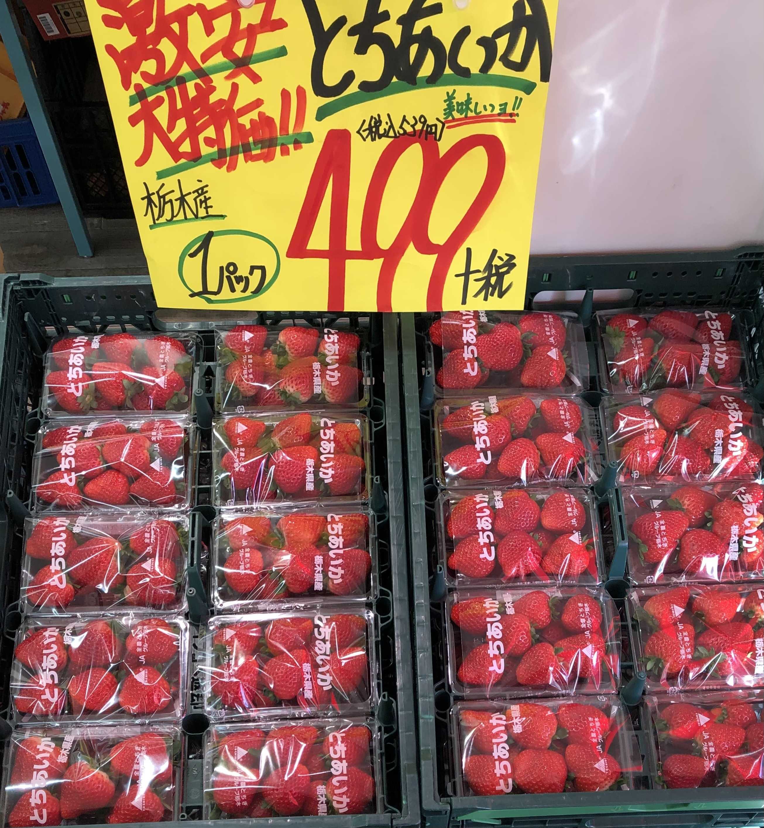 たこ一 日曜日もどかーんと大特価ー‼️