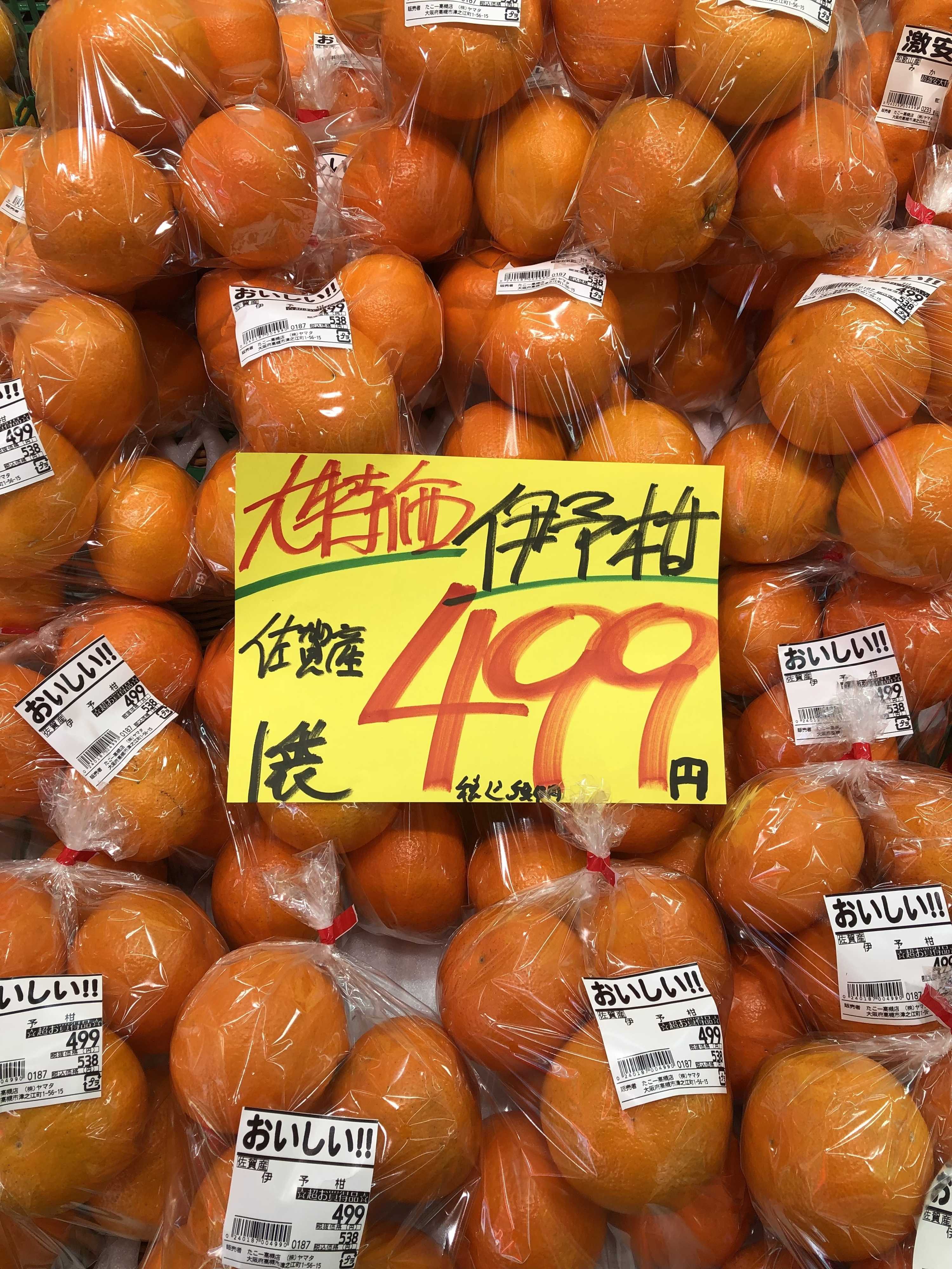 たこ一 日曜日もどかーんと大特価ー‼️