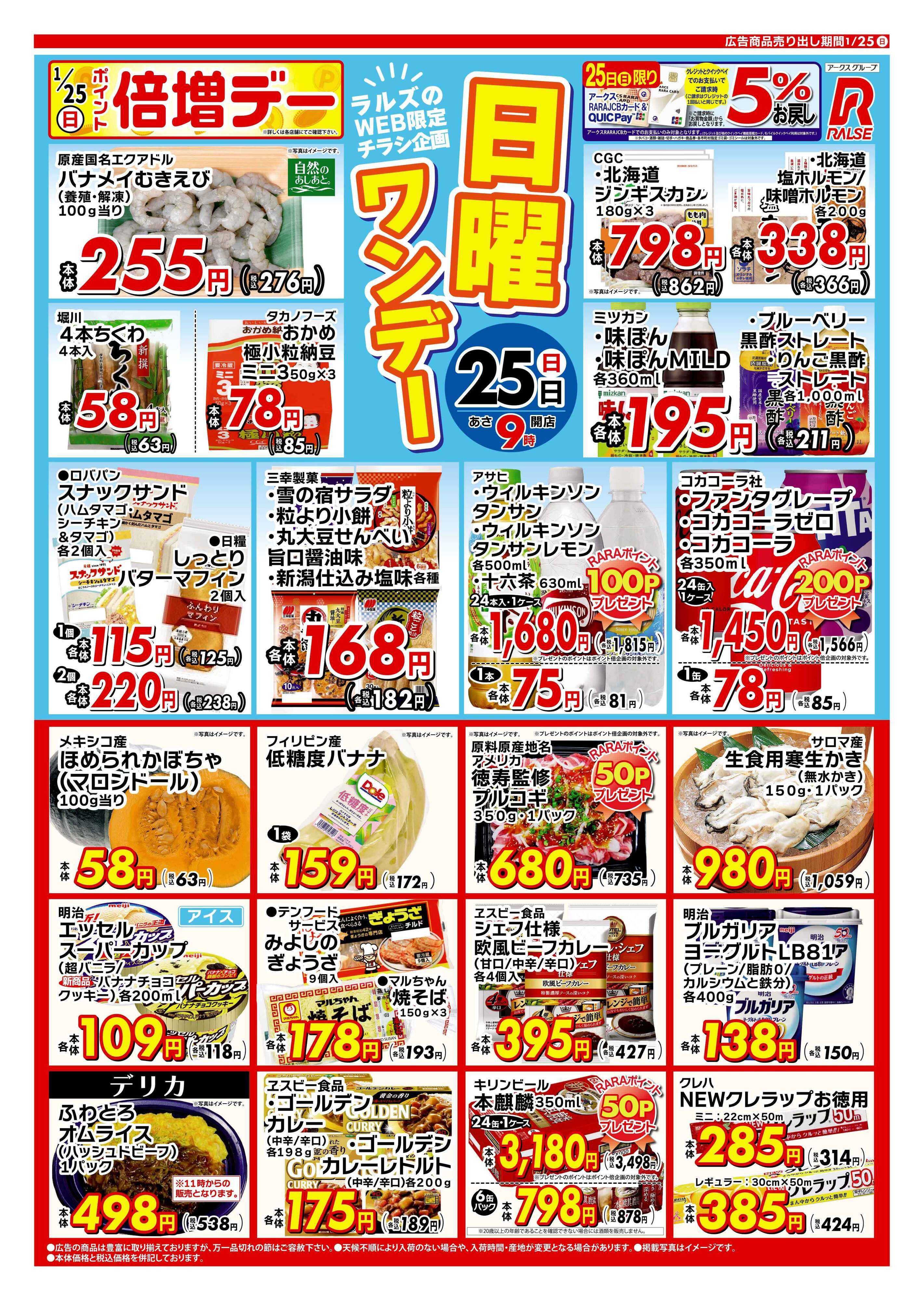 ホームストア 0125 Web日曜ワンデー