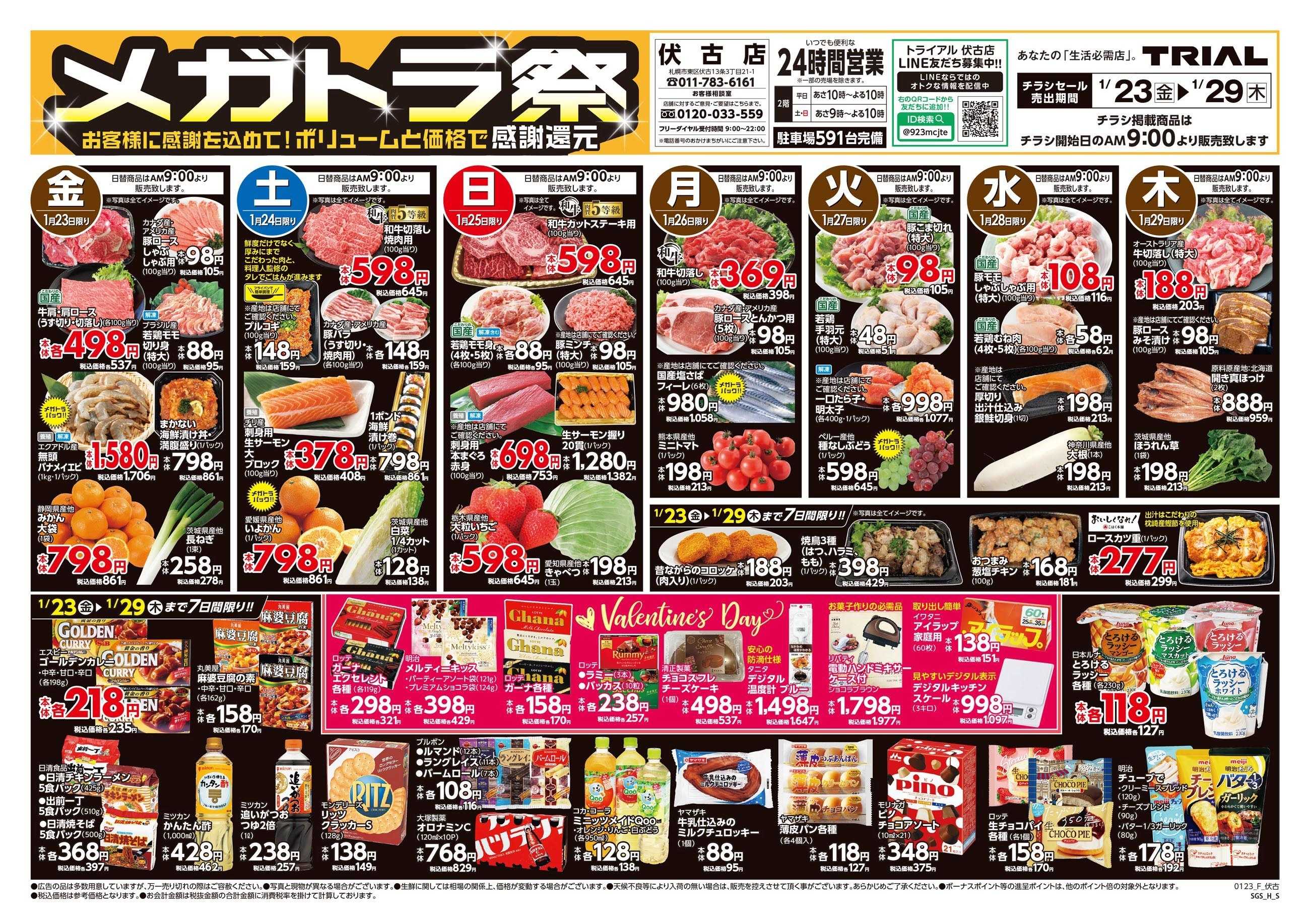 メガセンタートライアル 