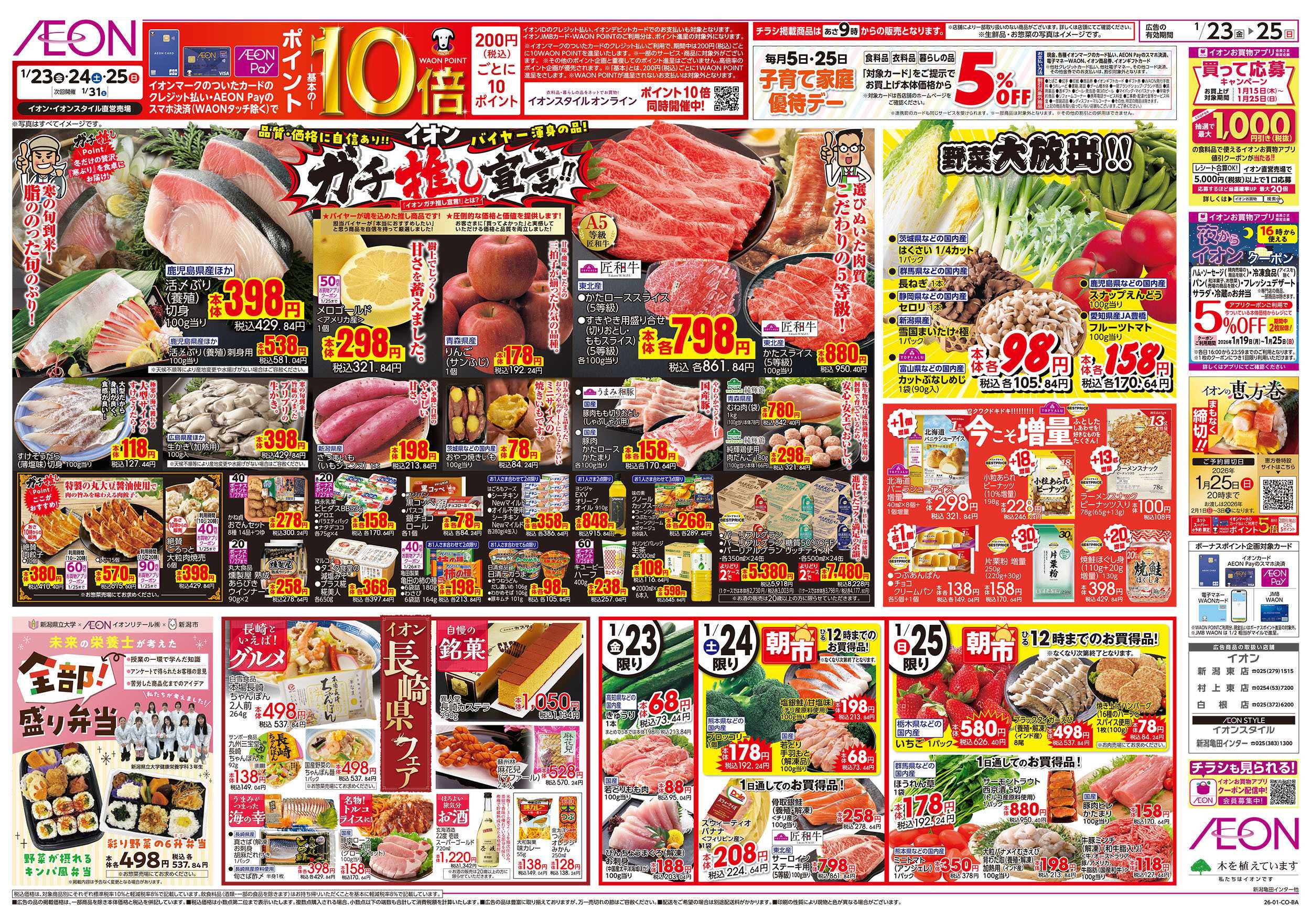 イオン 1/23号　イオンガチ推し宣言！：表面