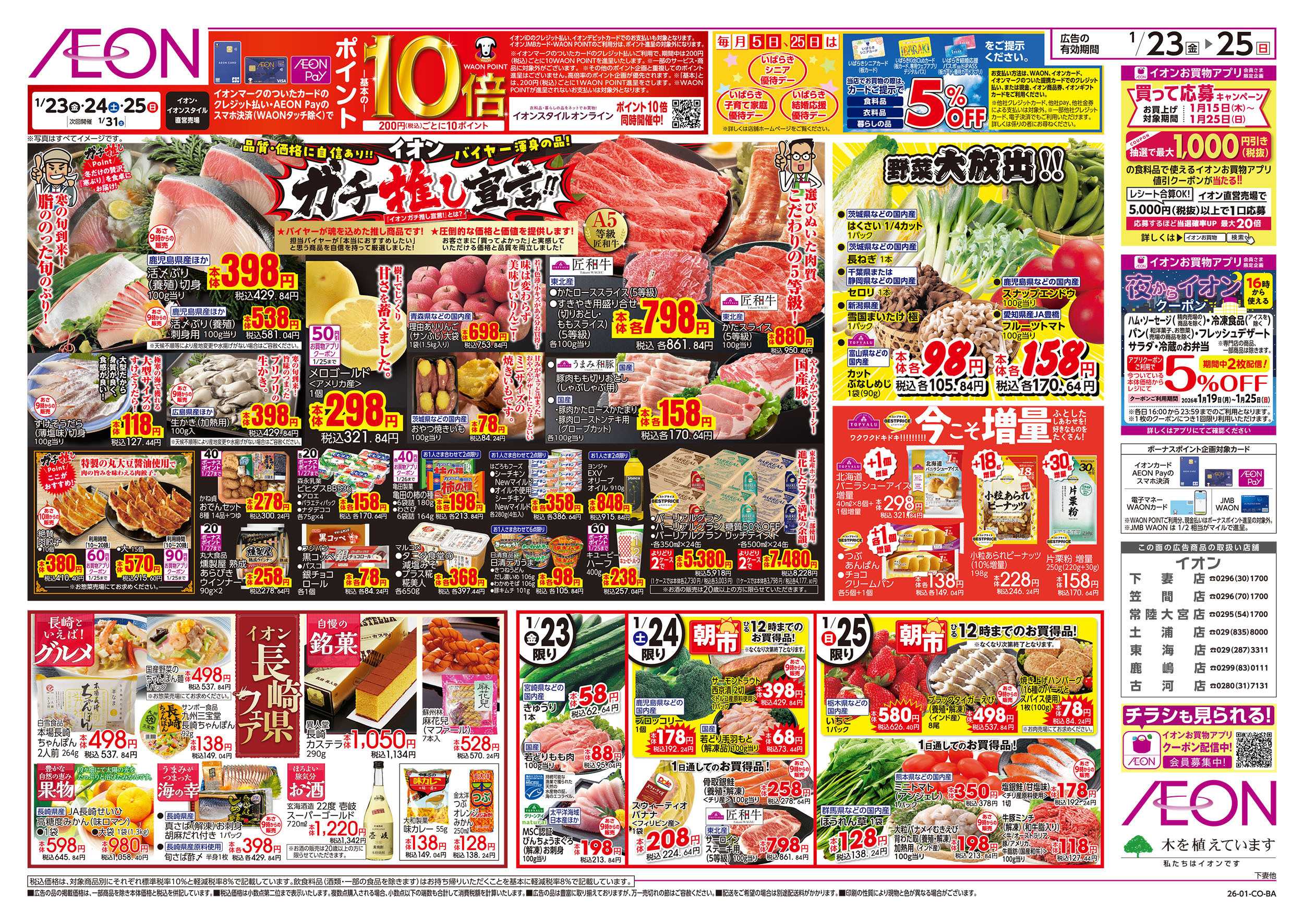 イオン 1/23号　イオンガチ推し宣言！：表面