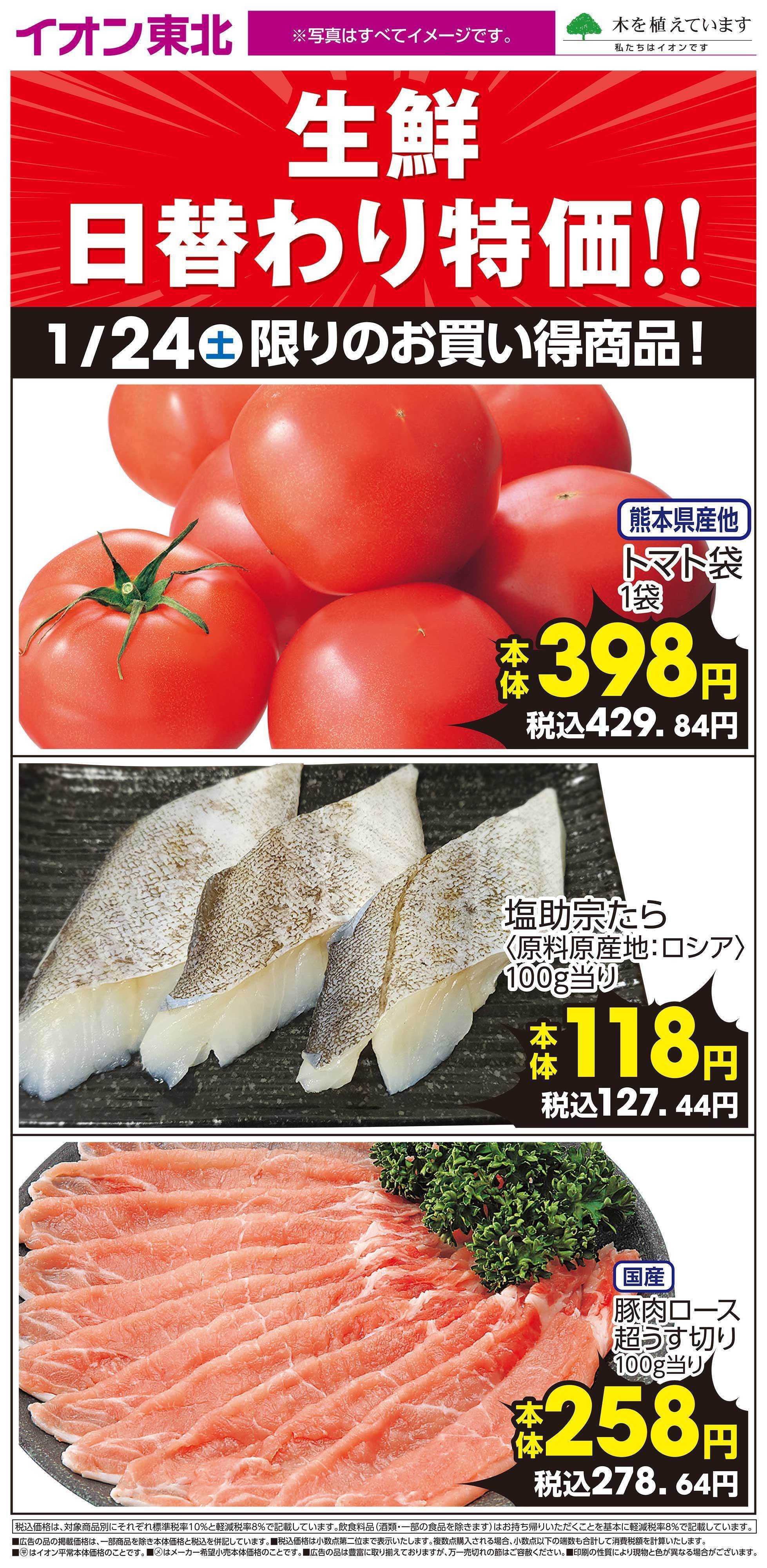 イオン 1月24日日替わり