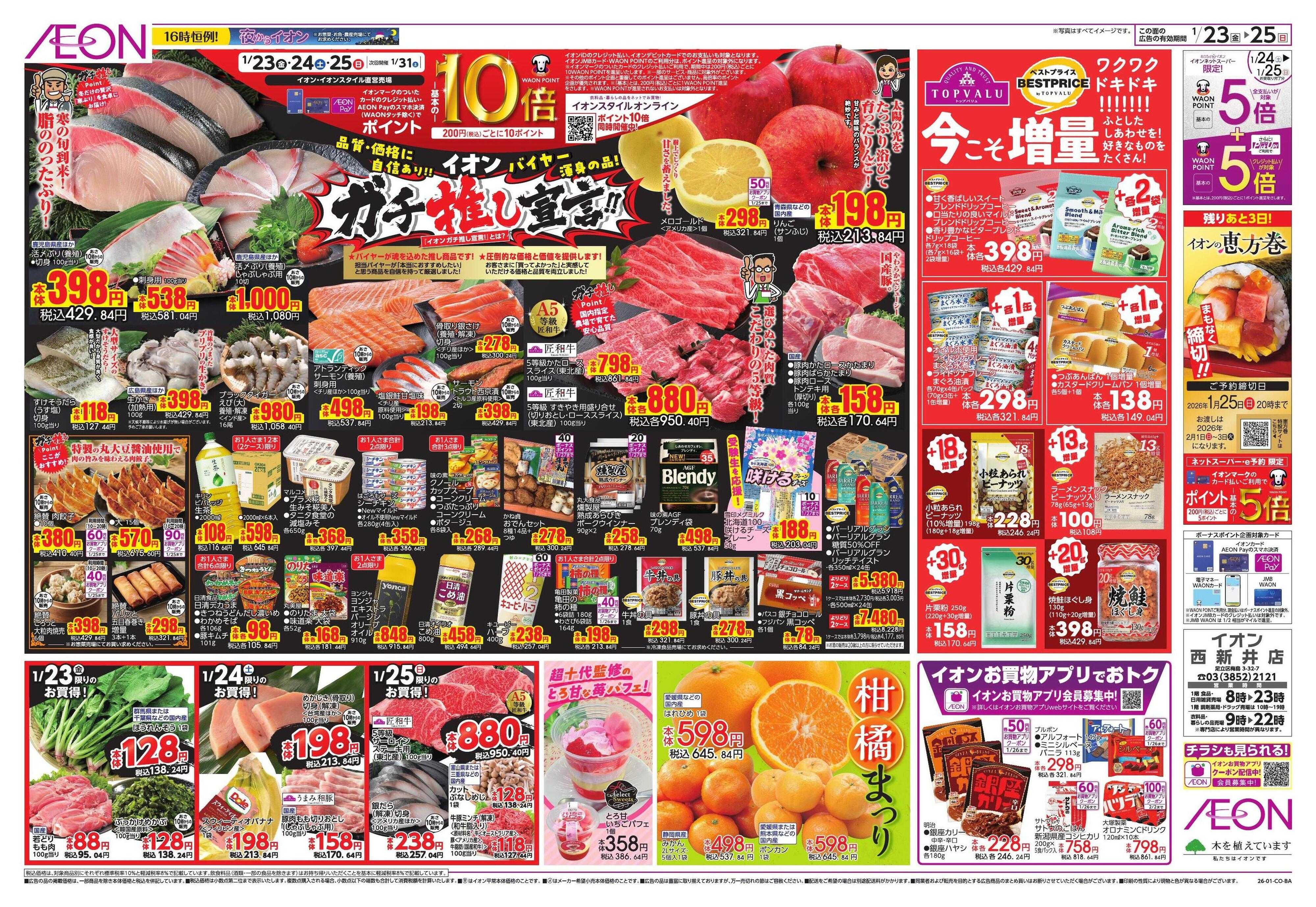 イオン イオンガチ推し宣言